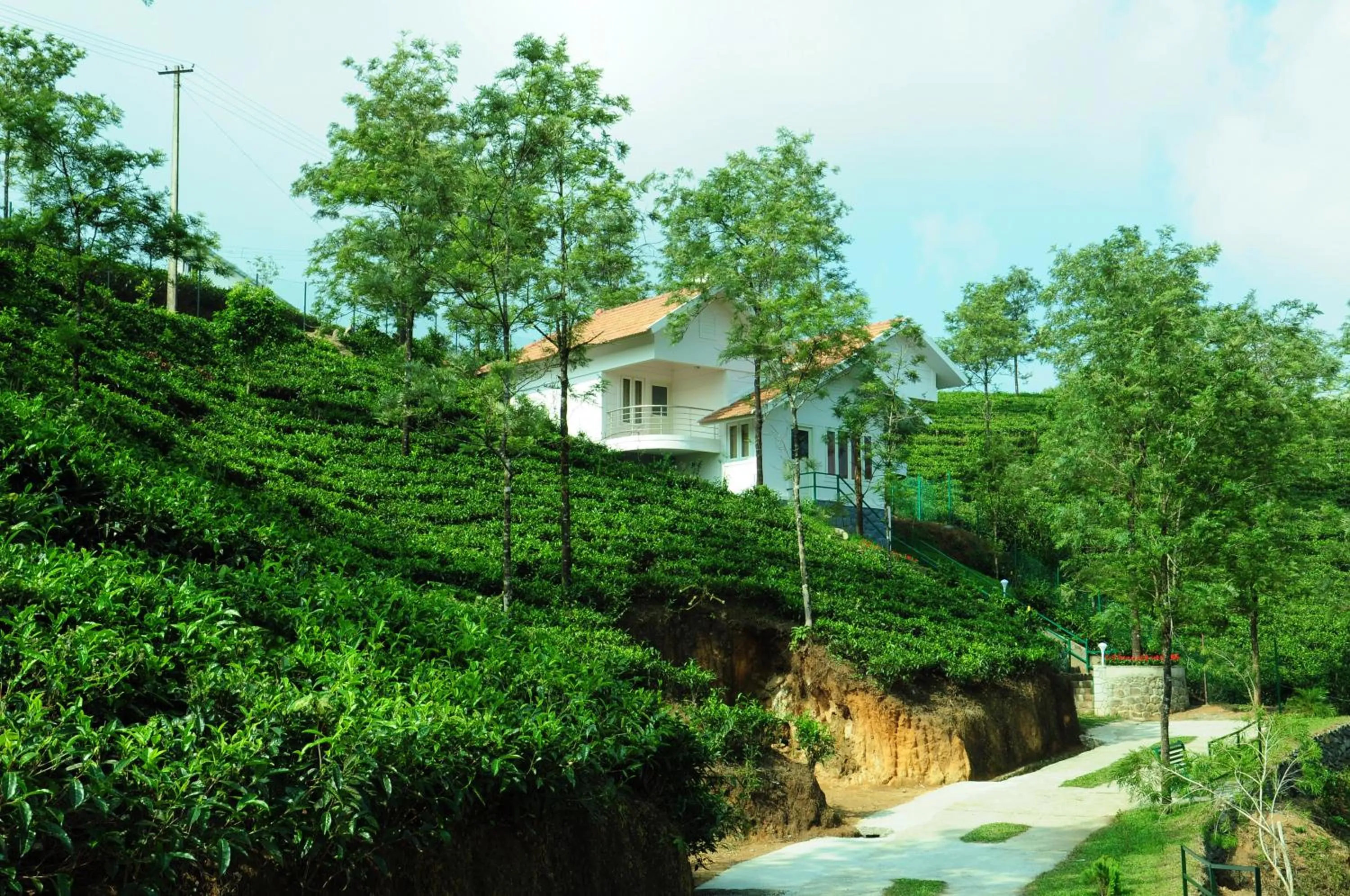 Garden view in Falcon Crest