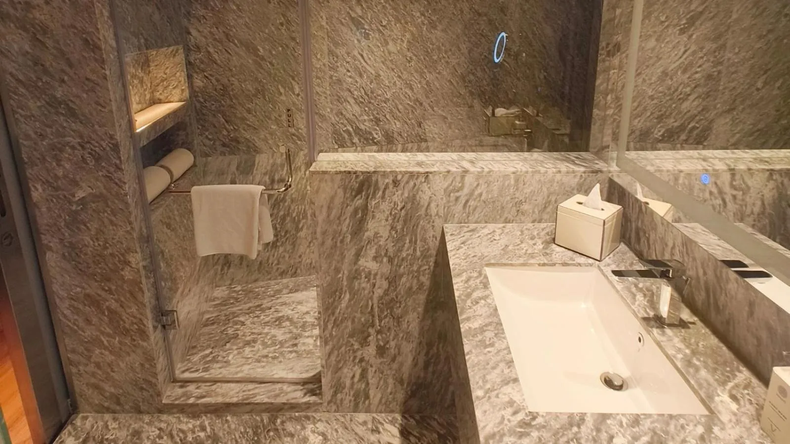 Bathroom in Vivanta New Delhi, Dwarka