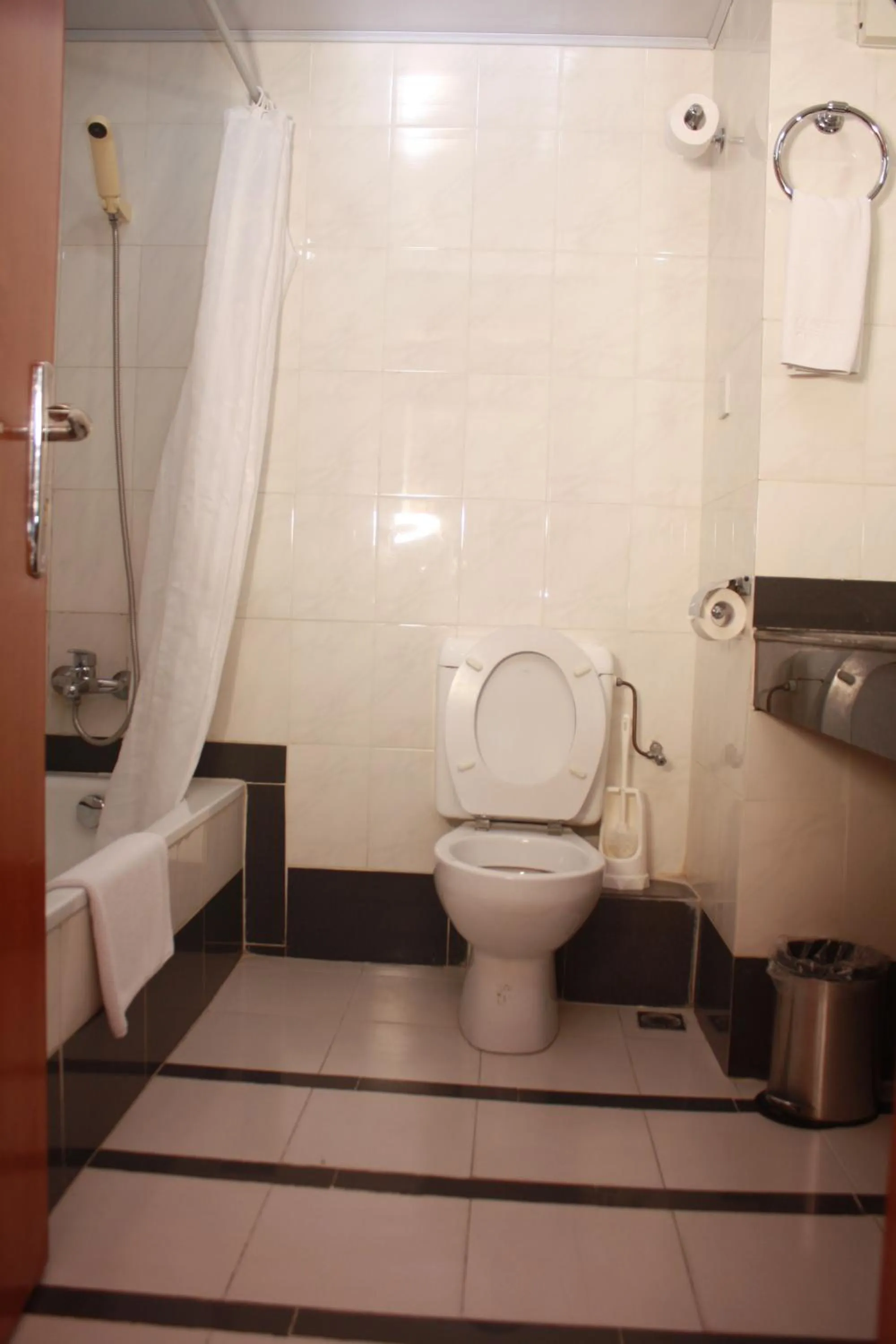 Toilet in Peacock Hotel