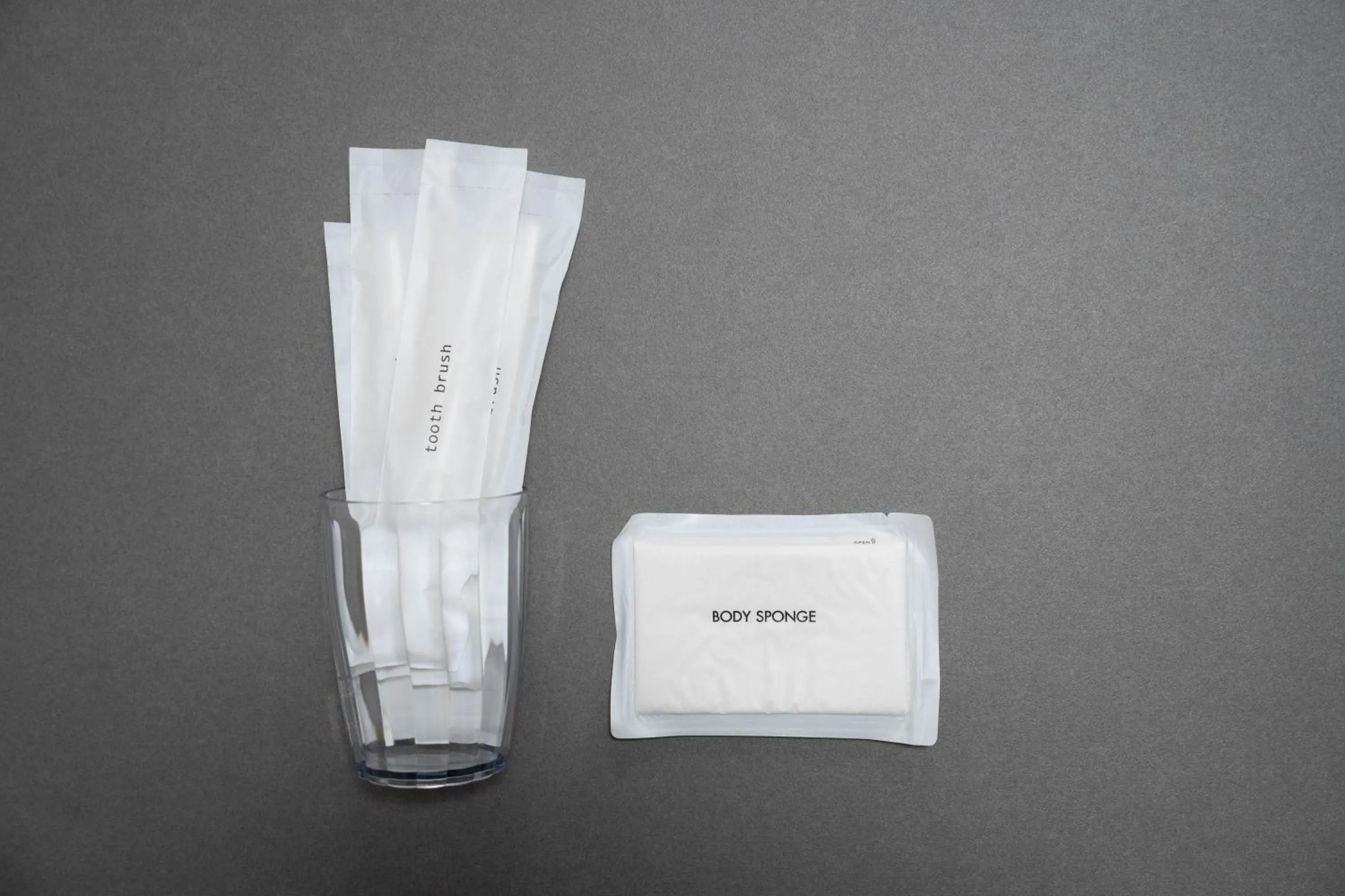 Area and facilities in Zabo Hills 202