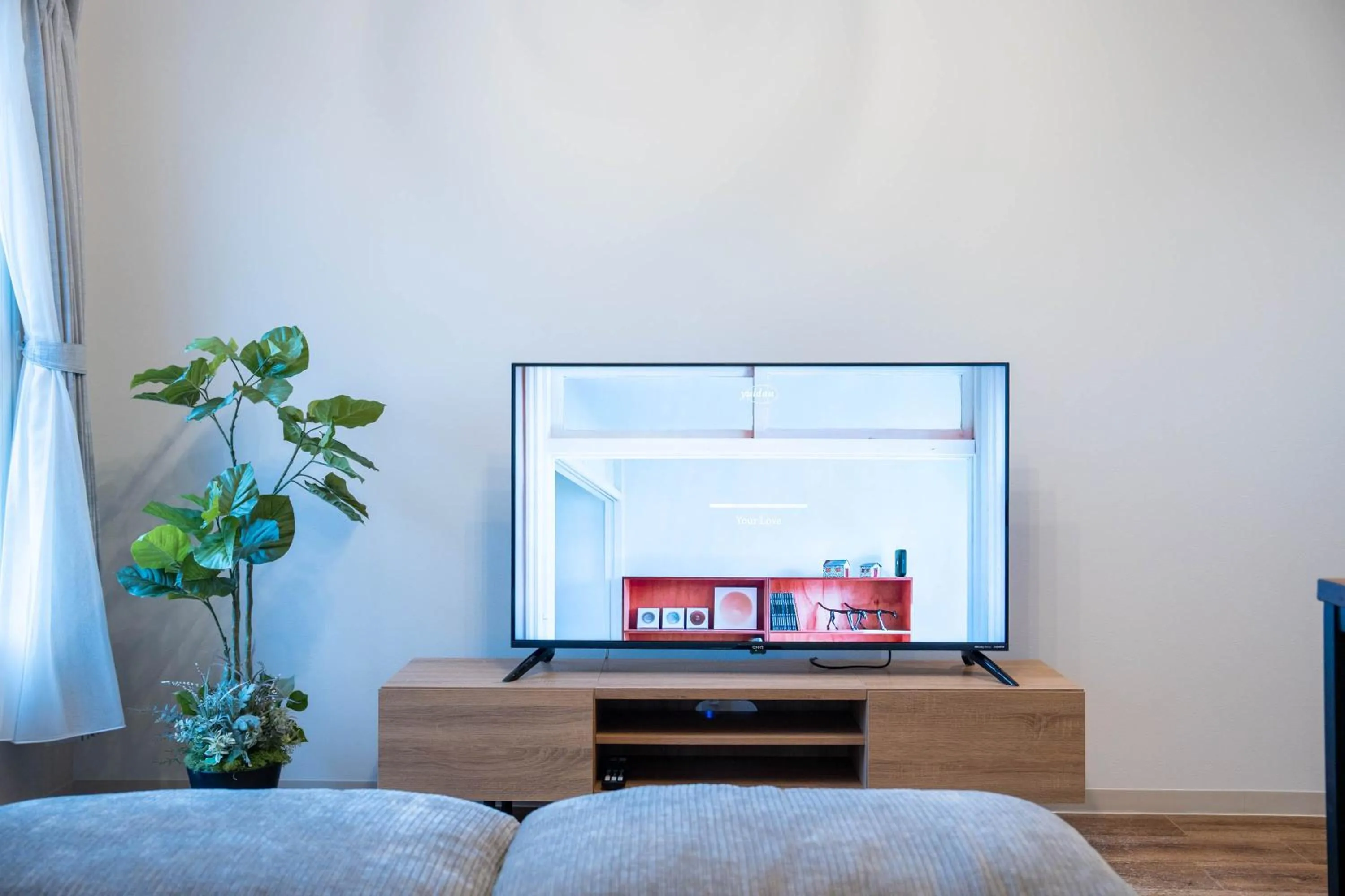 TV and multimedia in Zabo Hills 305