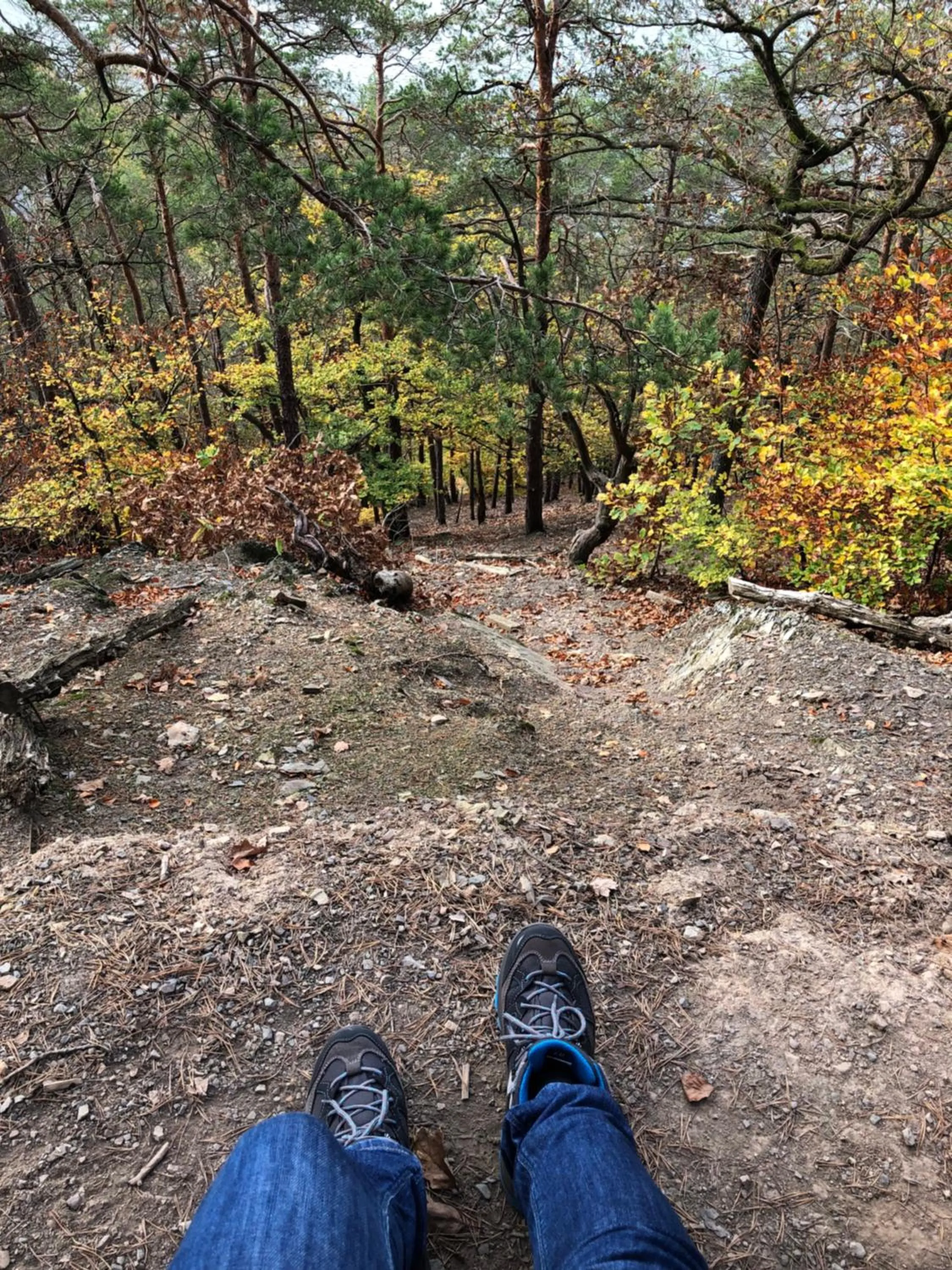 Area and facilities in Hotel Touric