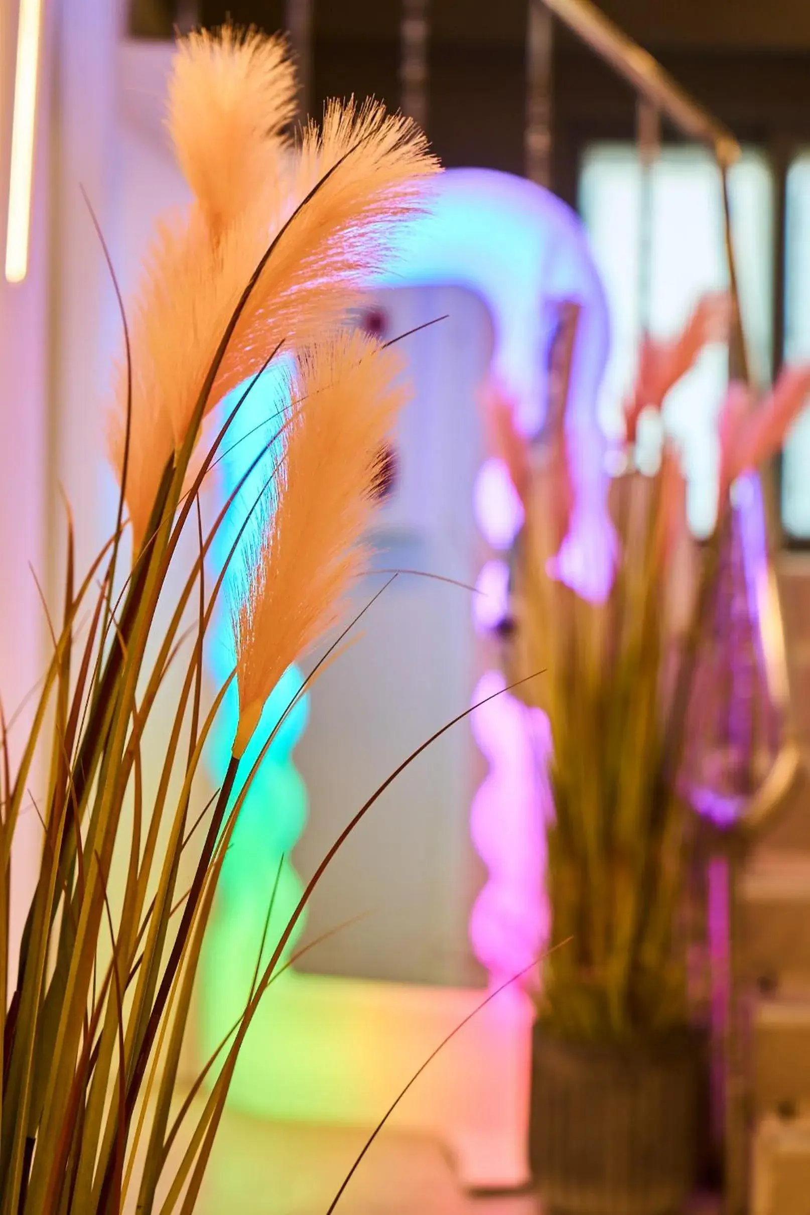 Stay Seorae Stay Seorae