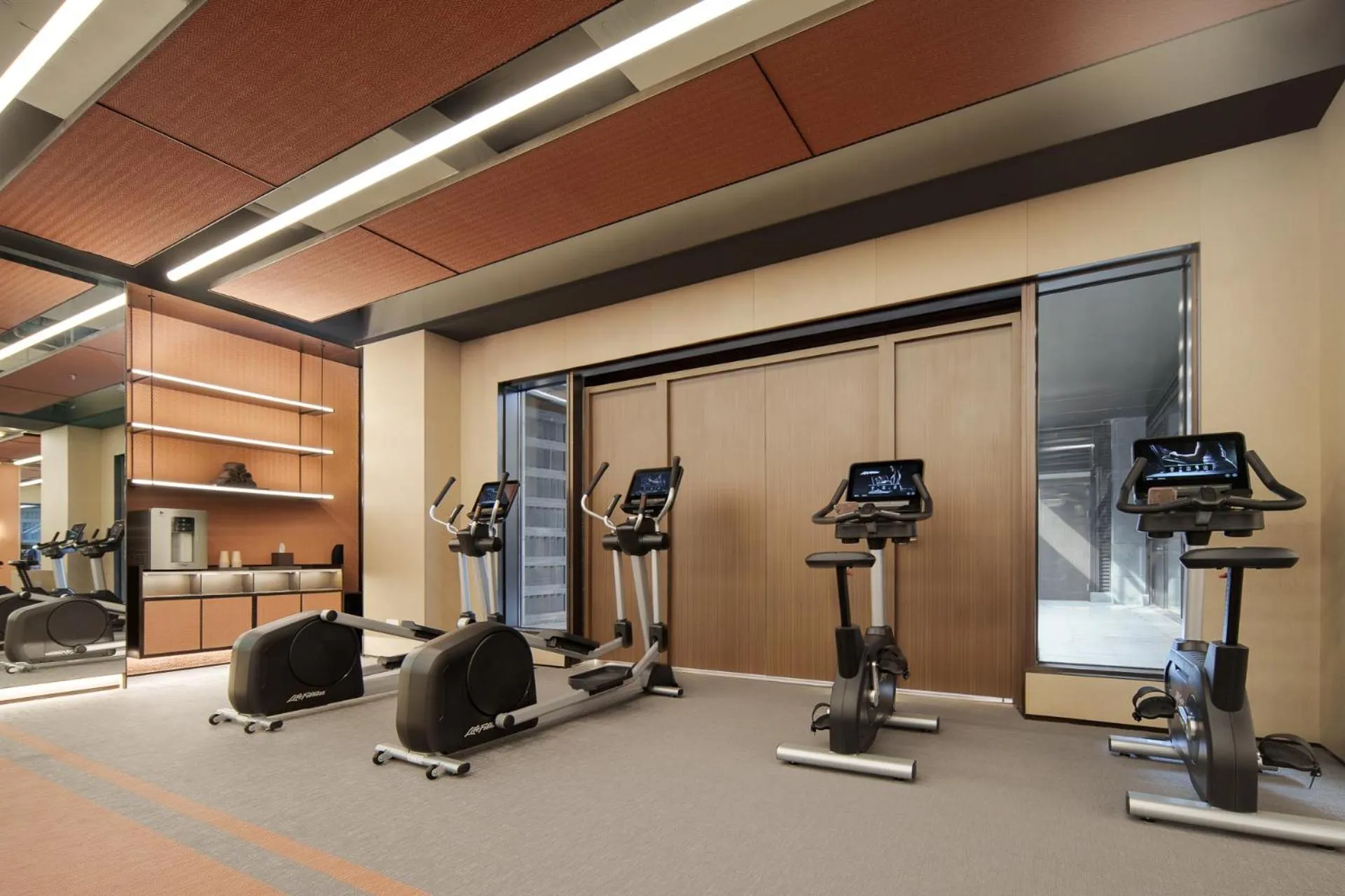 Fitness centre/facilities in Ming Hotel Nanjing - MGallery Collection