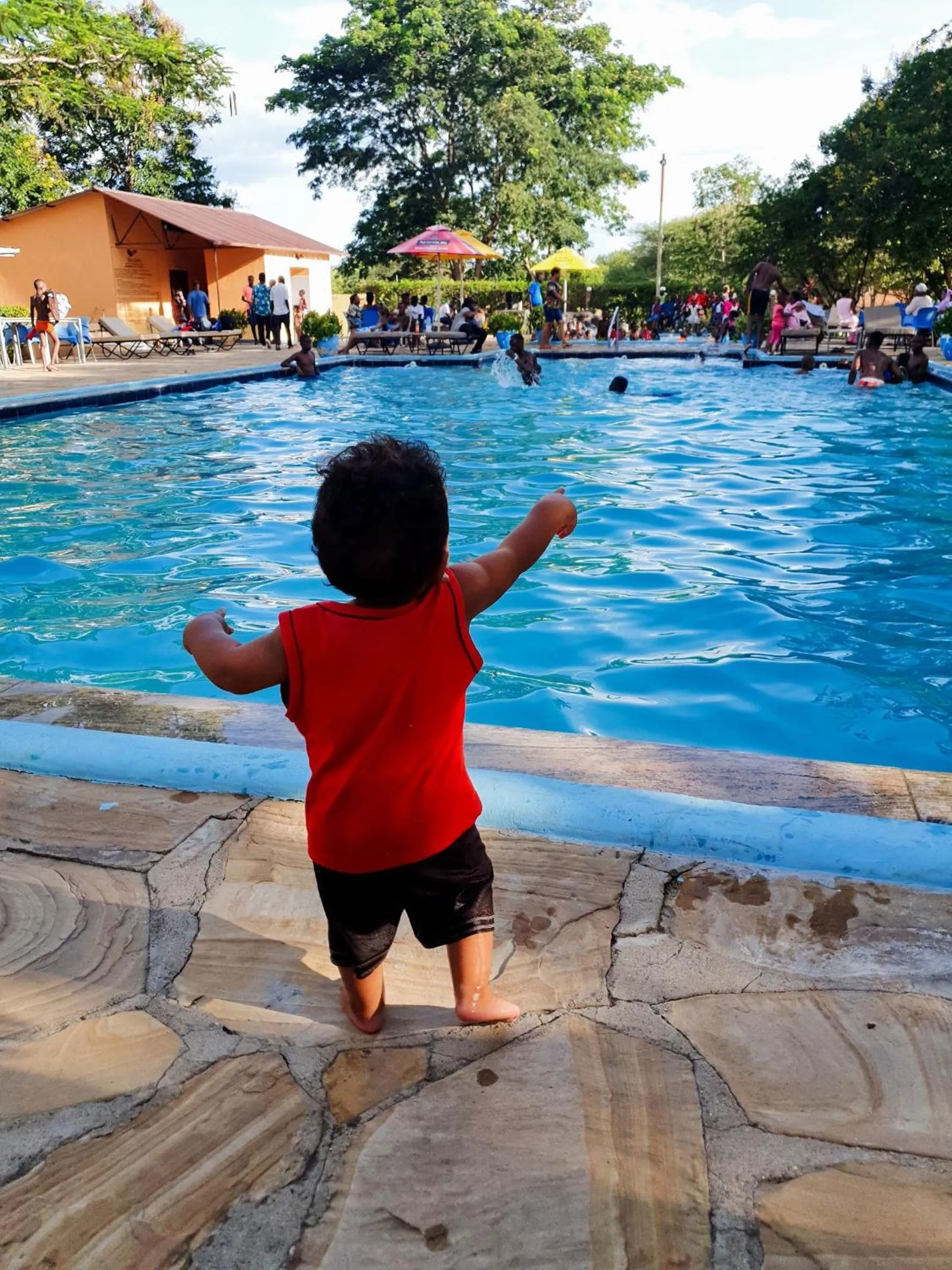 Swimming pool in Tan-Swiss Lodge