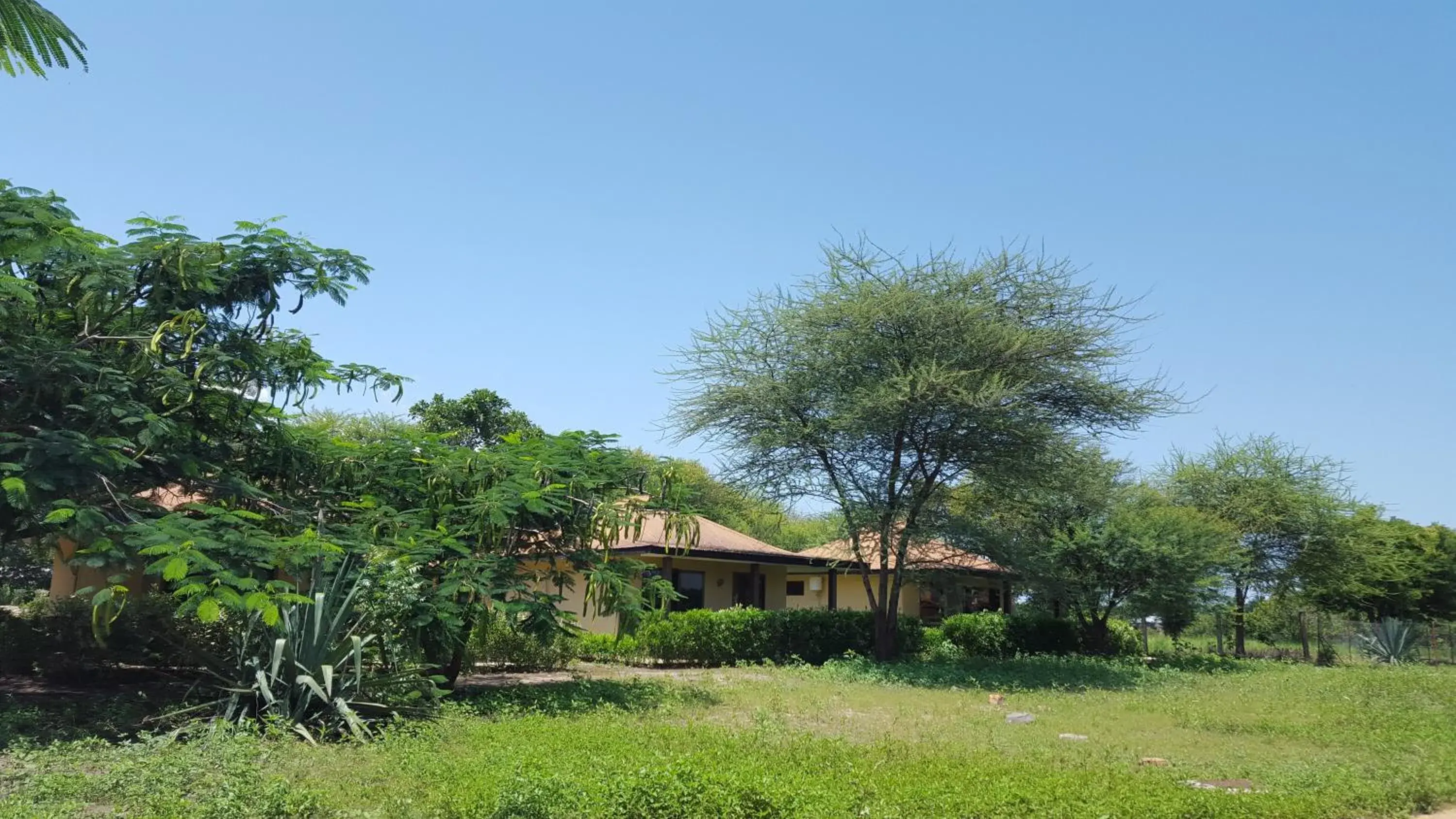 Bungalow - single occupancy in Tan-Swiss Lodge Bungalow - single occupancy in Tan-Swiss Lodge