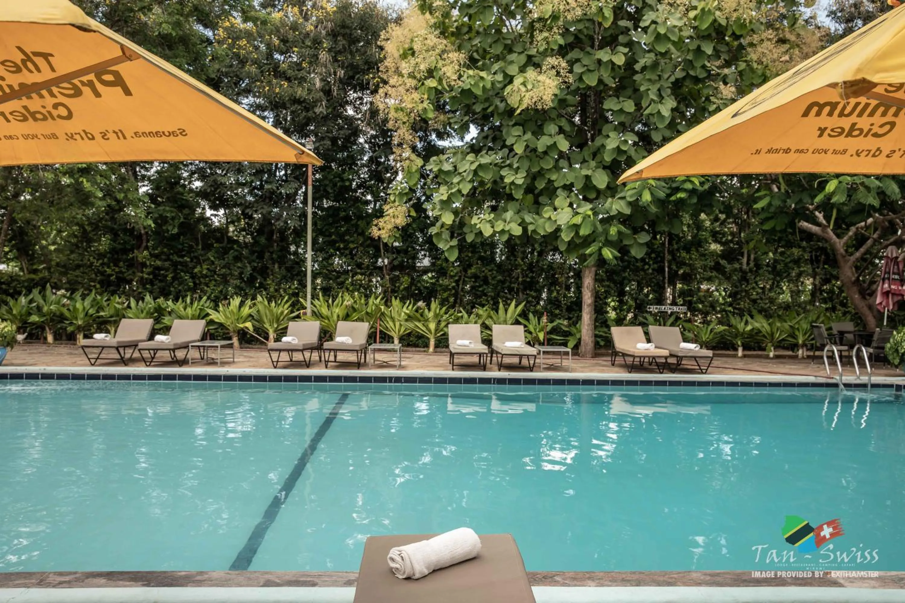 Swimming pool in Tan-Swiss Lodge