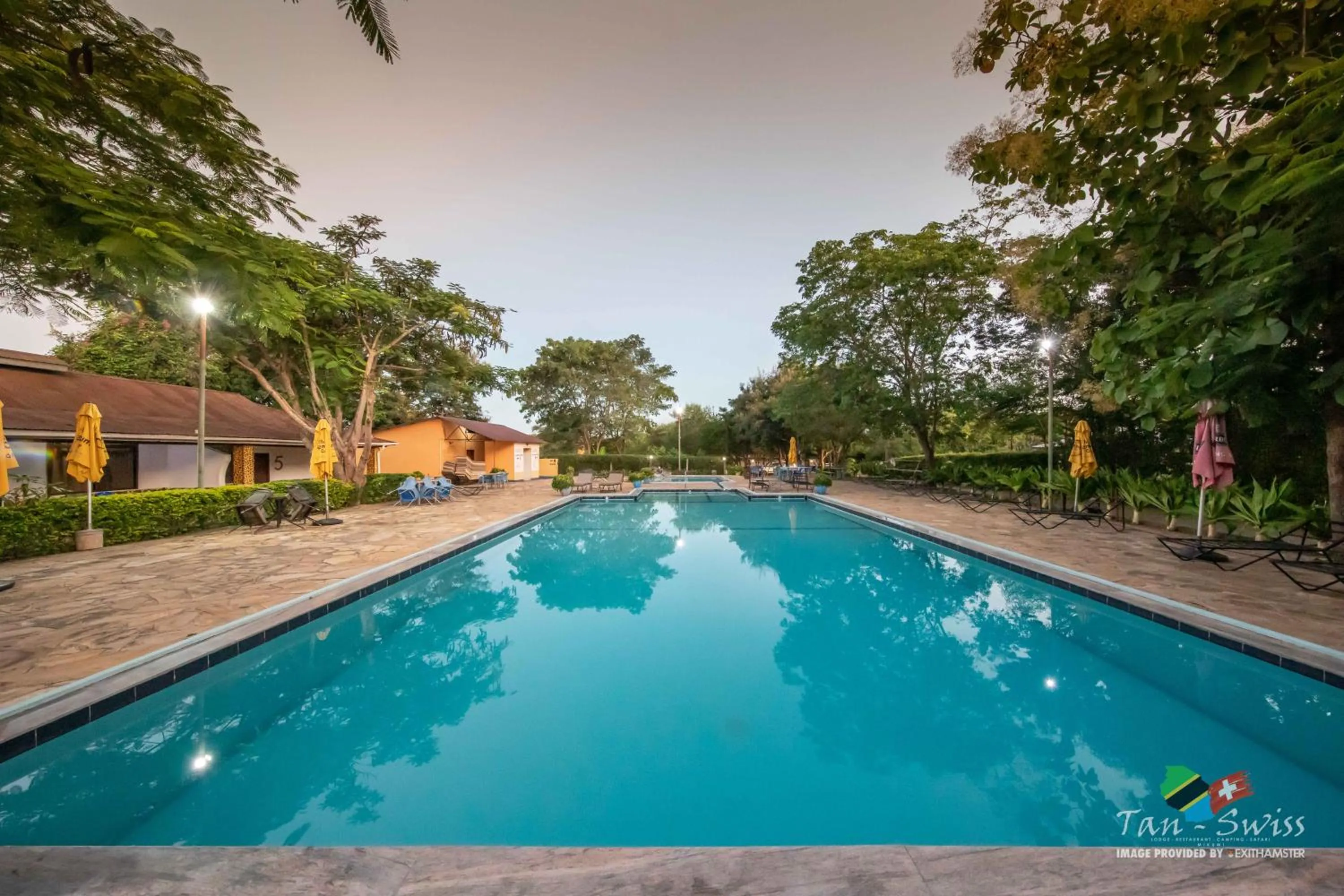Swimming pool in Tan-Swiss Lodge