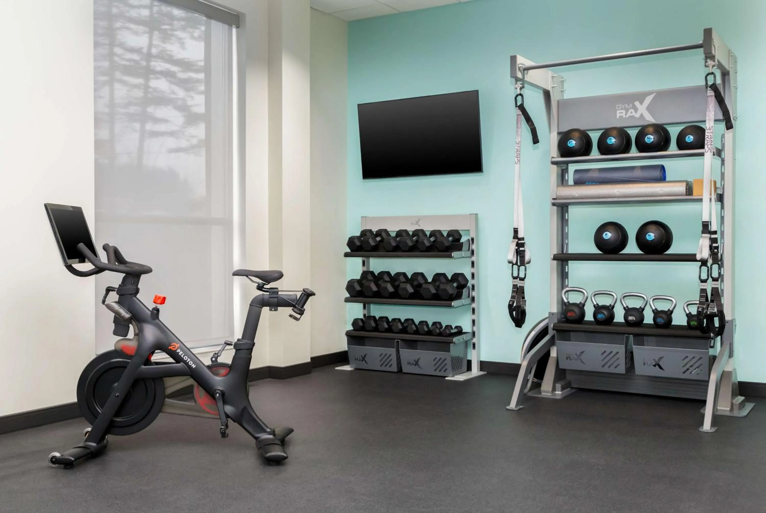 Fitness centre/facilities in Tru By Hilton Bracebridge, On
