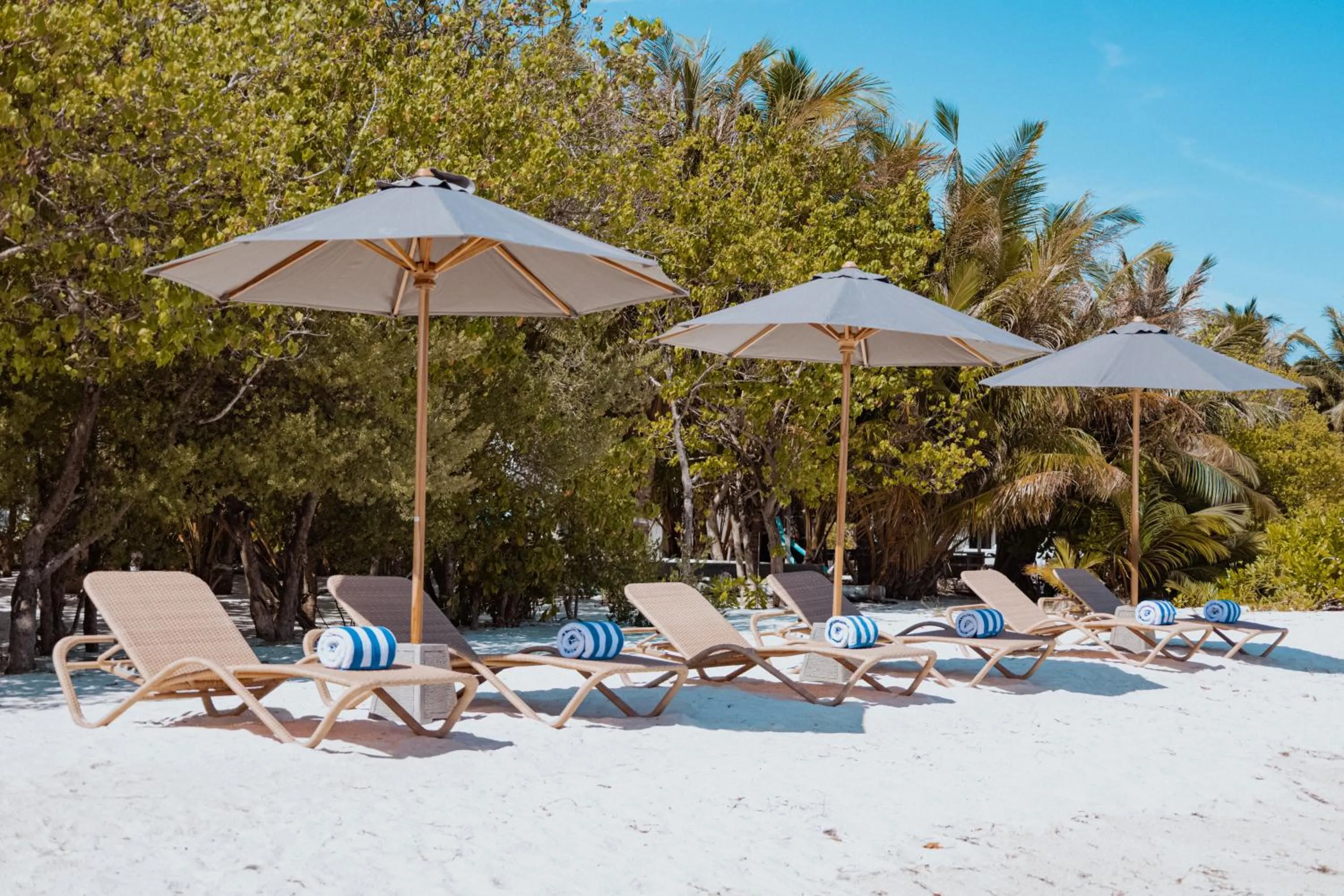 Day in Cocomo Maldives