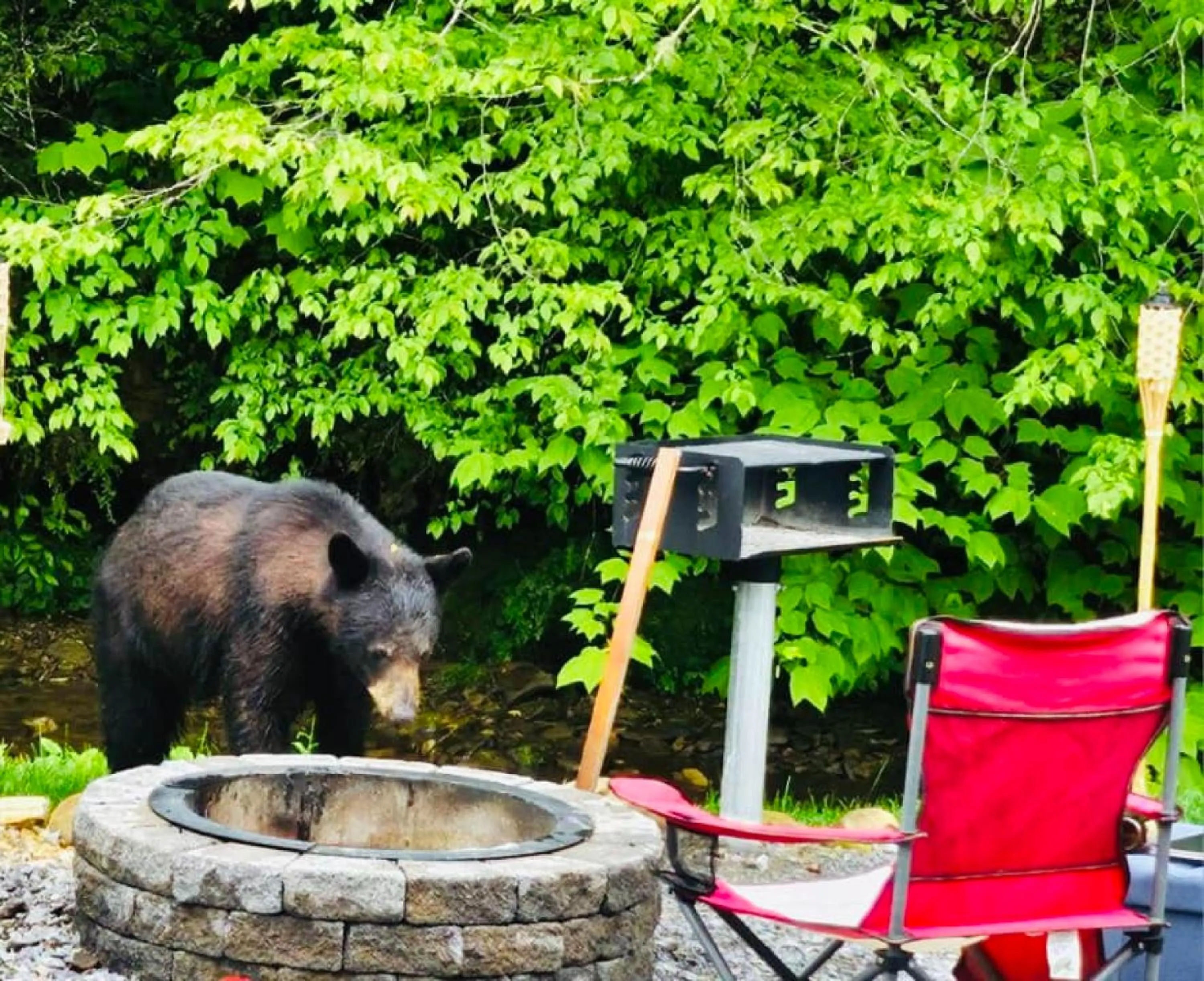 Natural landscape in Dudley Creek RV Resort