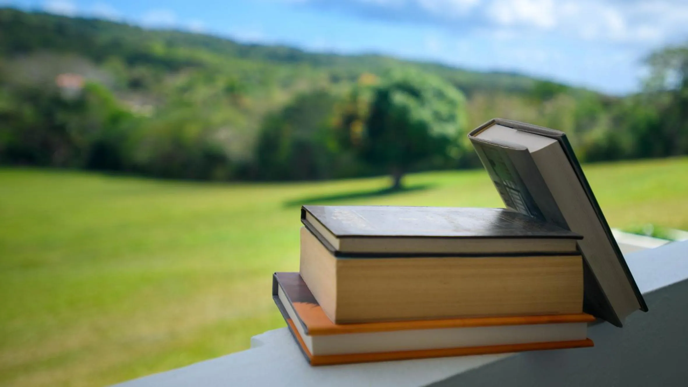 Natural landscape in Club Vieques - Adults Only Resort - LGBT Friendly