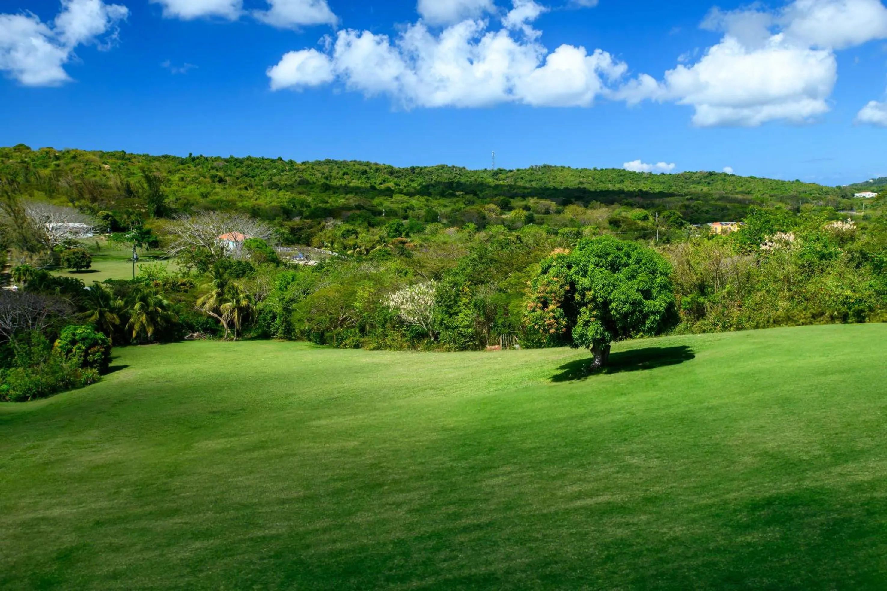 Mountain view in Club Vieques - Adults Only Resort - LGBT Friendly