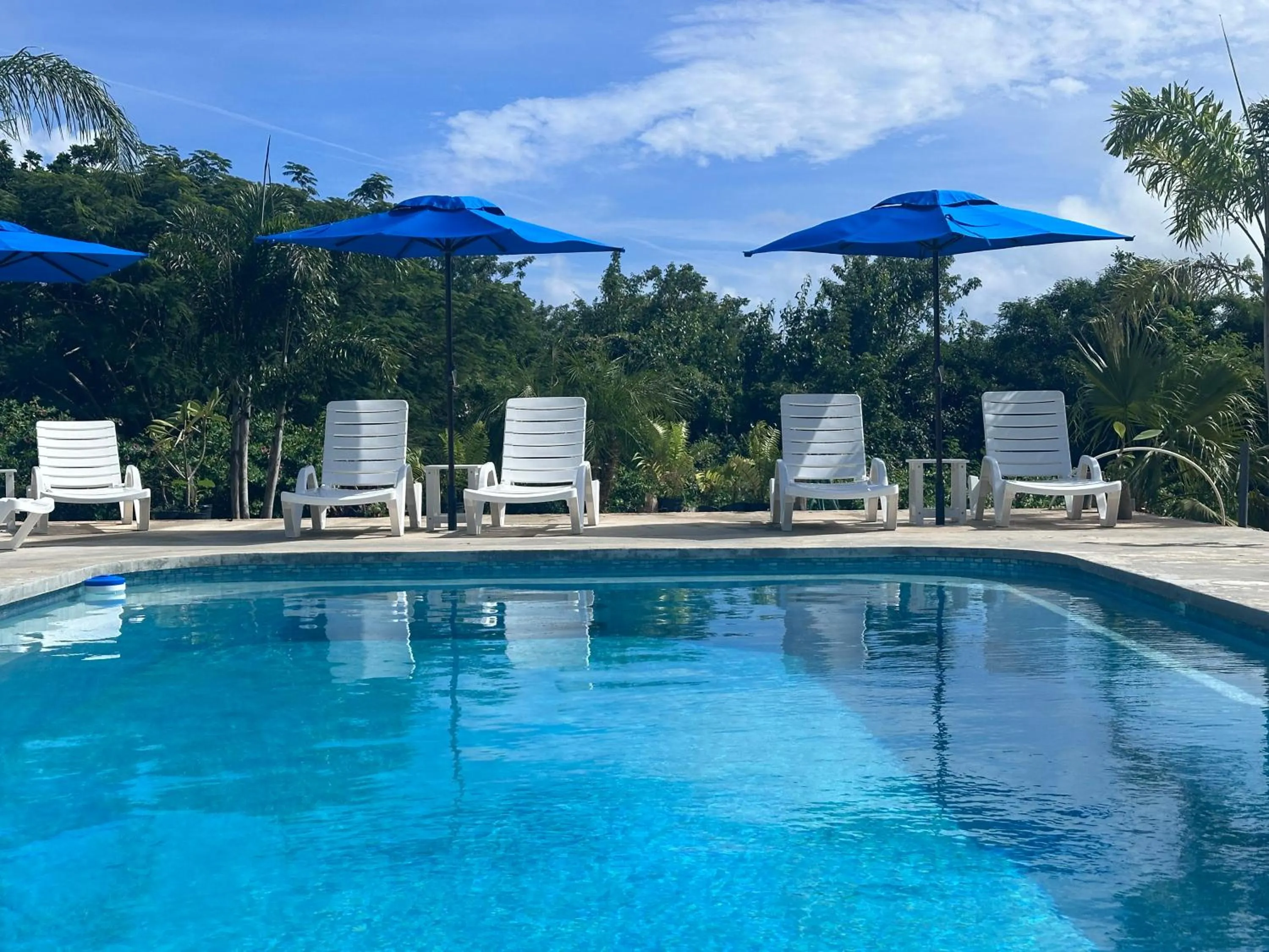 Pool view in Club Vieques - Adults Only Resort - LGBT Friendly