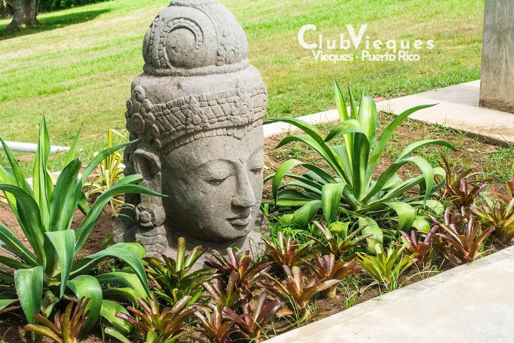 Garden view in Club Vieques - Adults Only Resort - LGBT Friendly