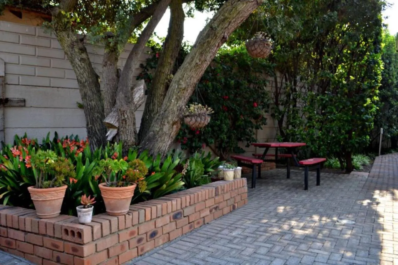 Property building in Bokmakierie Gastehuis Emalahleni Pty Ltd