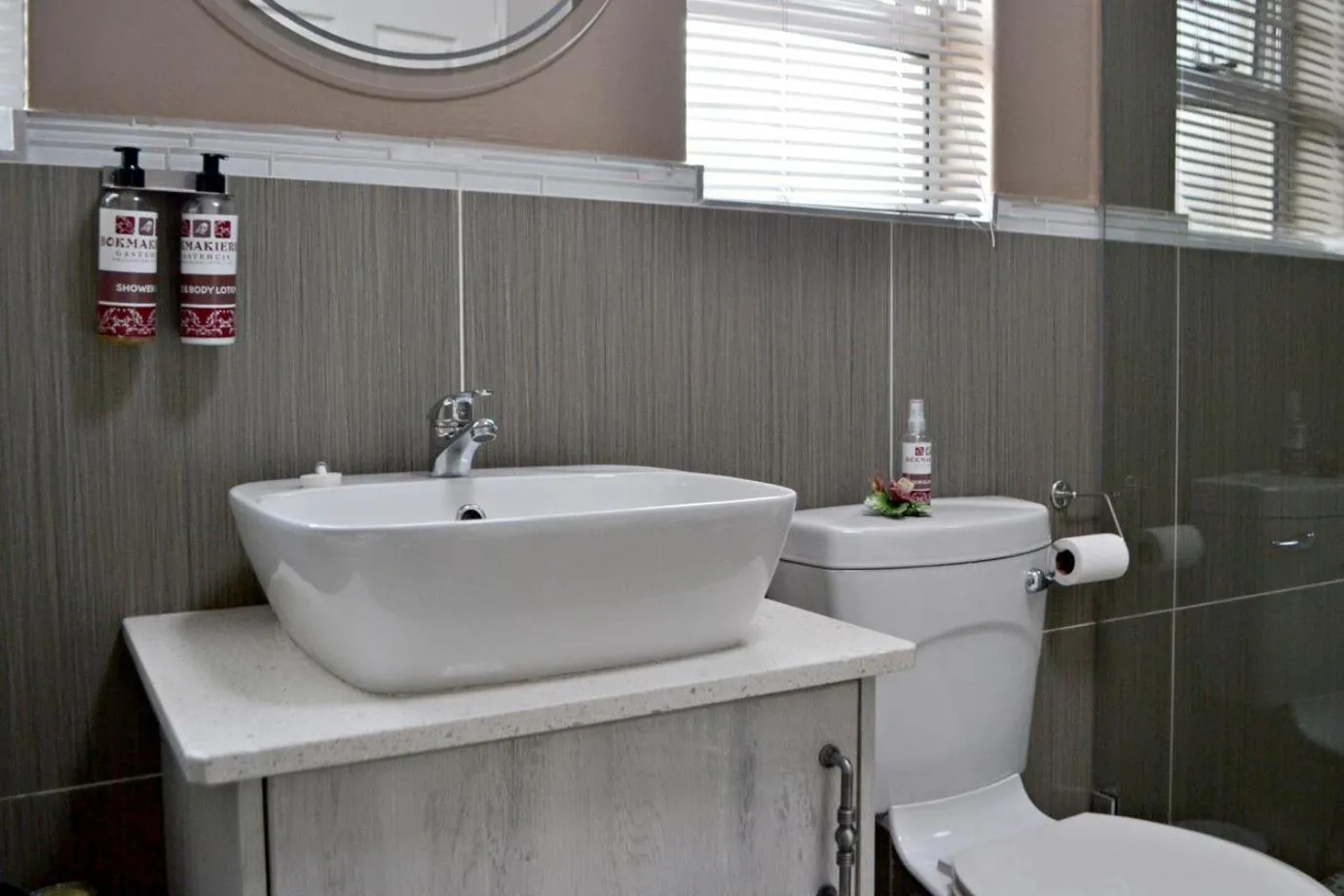 Toilet in Bokmakierie Gastehuis Emalahleni Pty Ltd