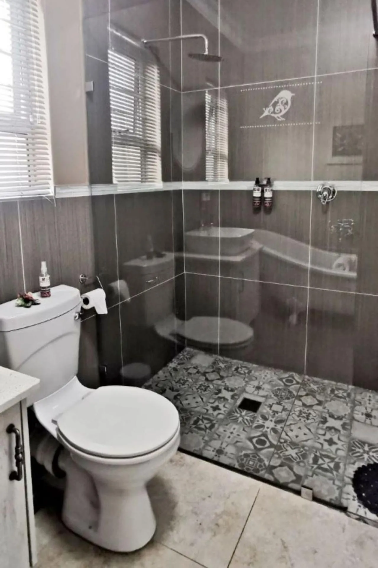 Shower in Bokmakierie Gastehuis Emalahleni Pty Ltd
