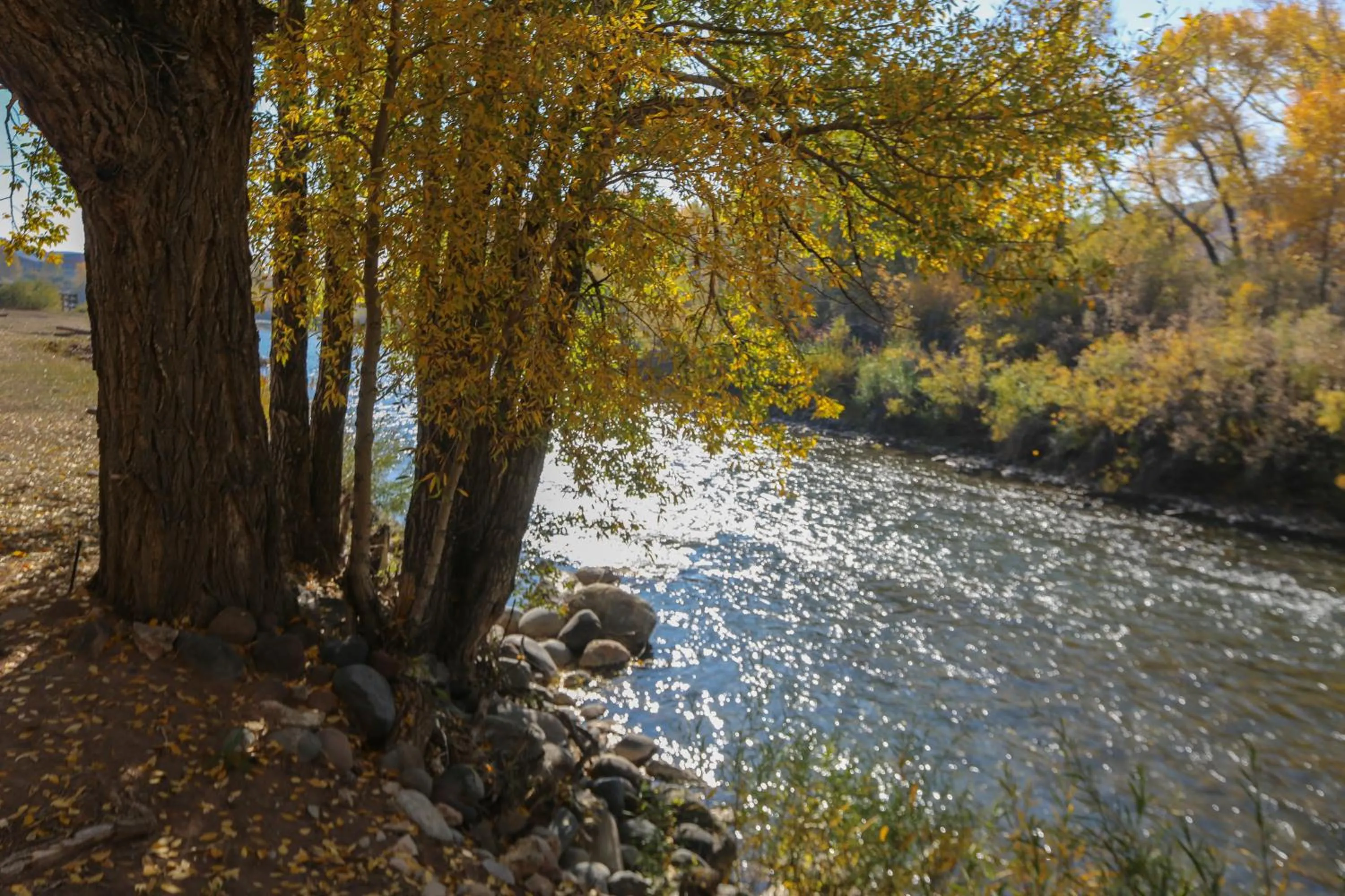 Natural landscape in Chinook Winds Lodge