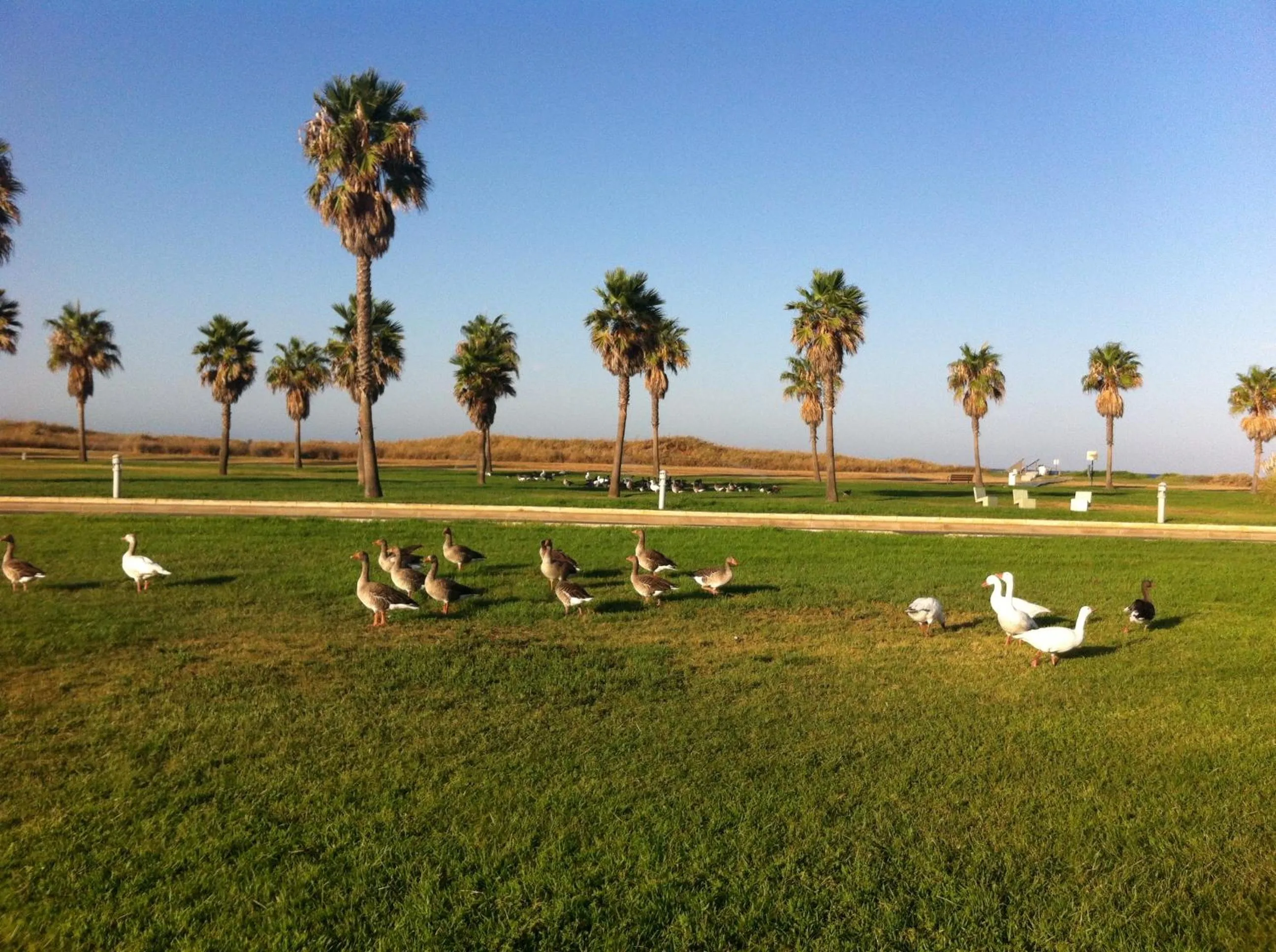 Area and facilities in Life Apartments Costa Ballena