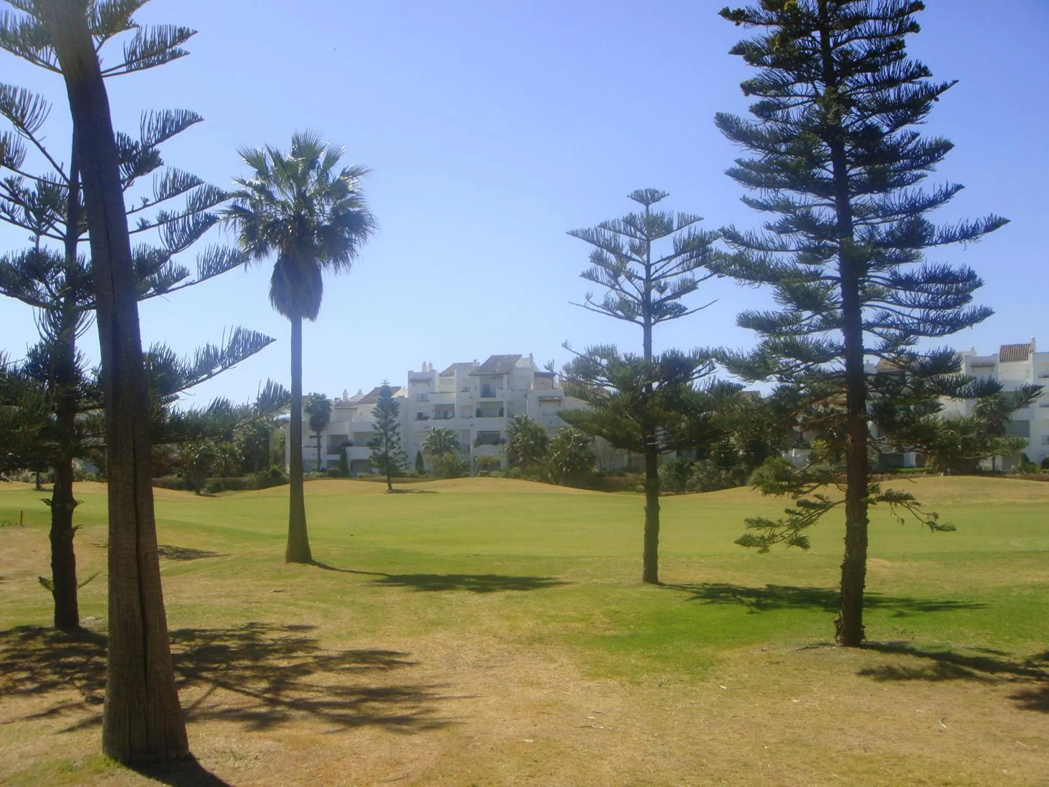 Activities in Life Apartments Costa Ballena