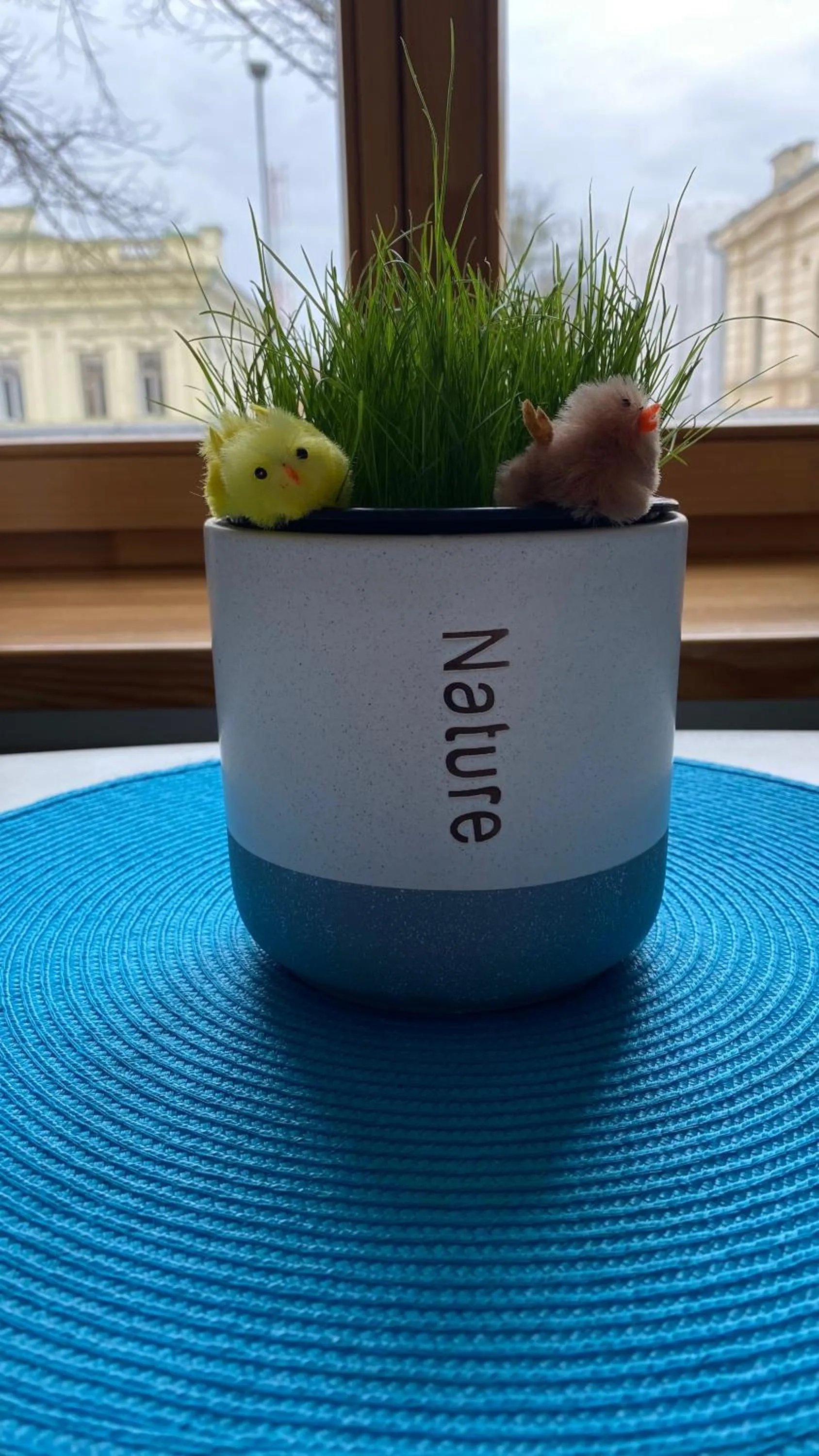 Decorative detail in Moja Accommodation