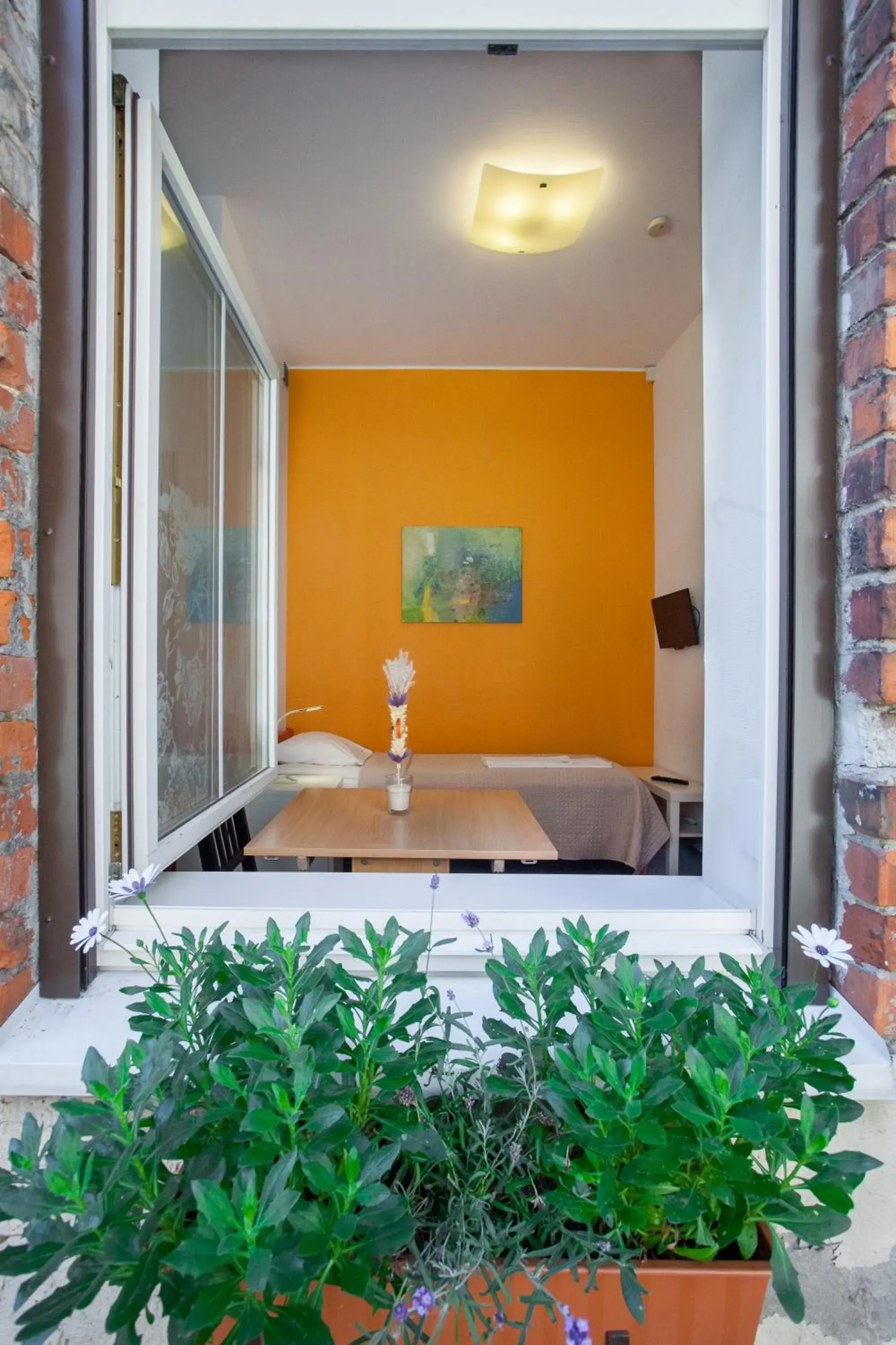 Moja Accommodation Moja Accommodation