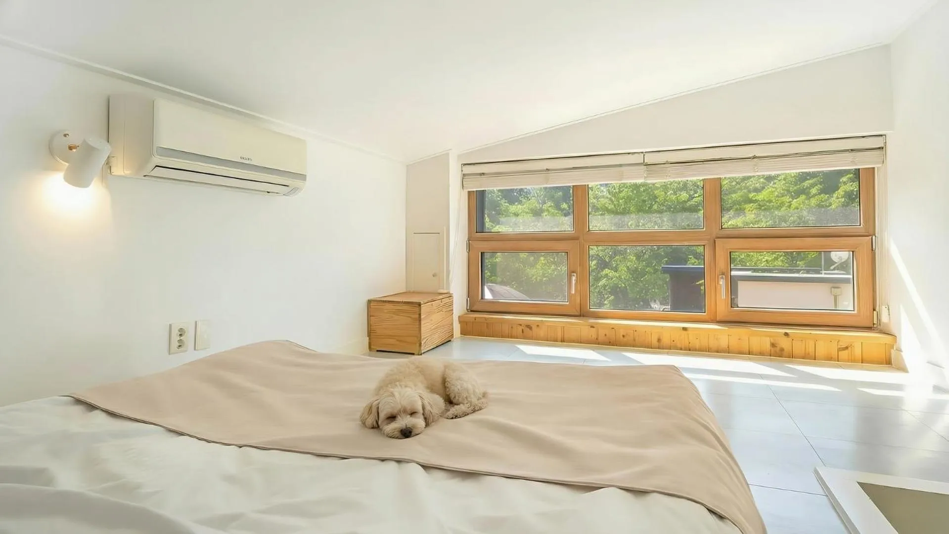 Property building, Bed in Hongcheon noilgangmaeul Pet Pension