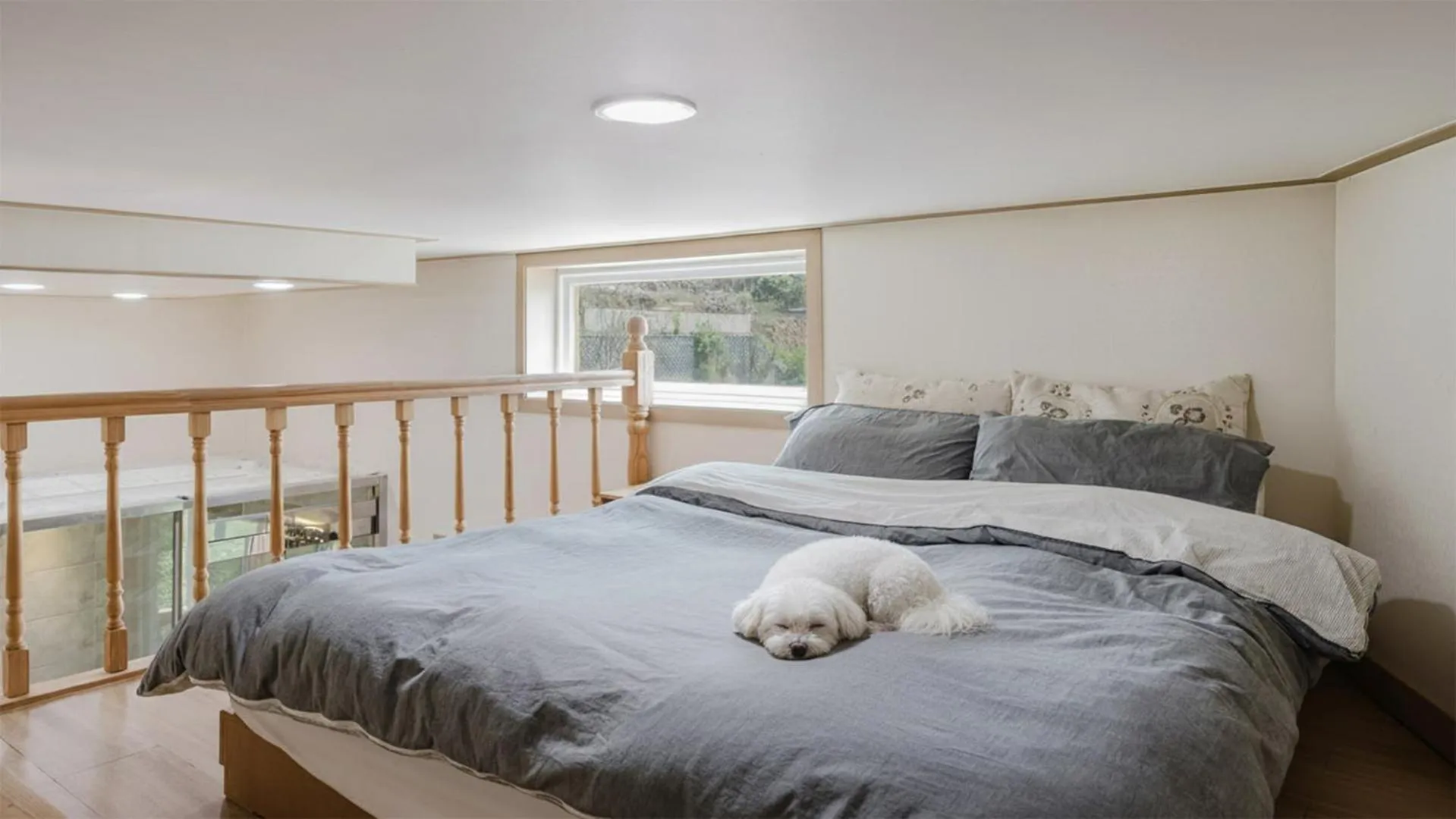 Property building, Bed in Gapyeong Art Pension