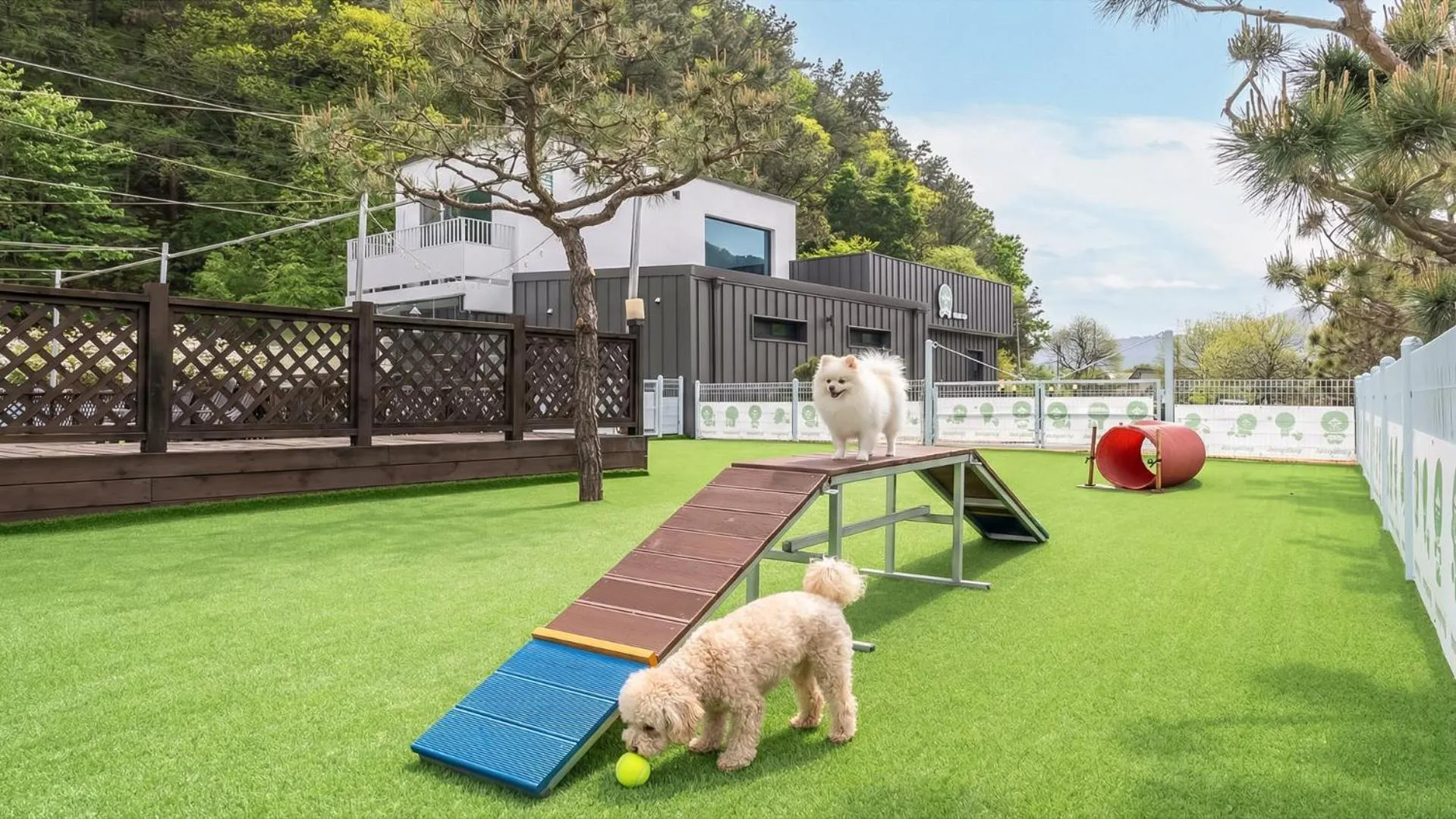 Property building in Gapyeong Dangdangi Pet Poolvilla Blue