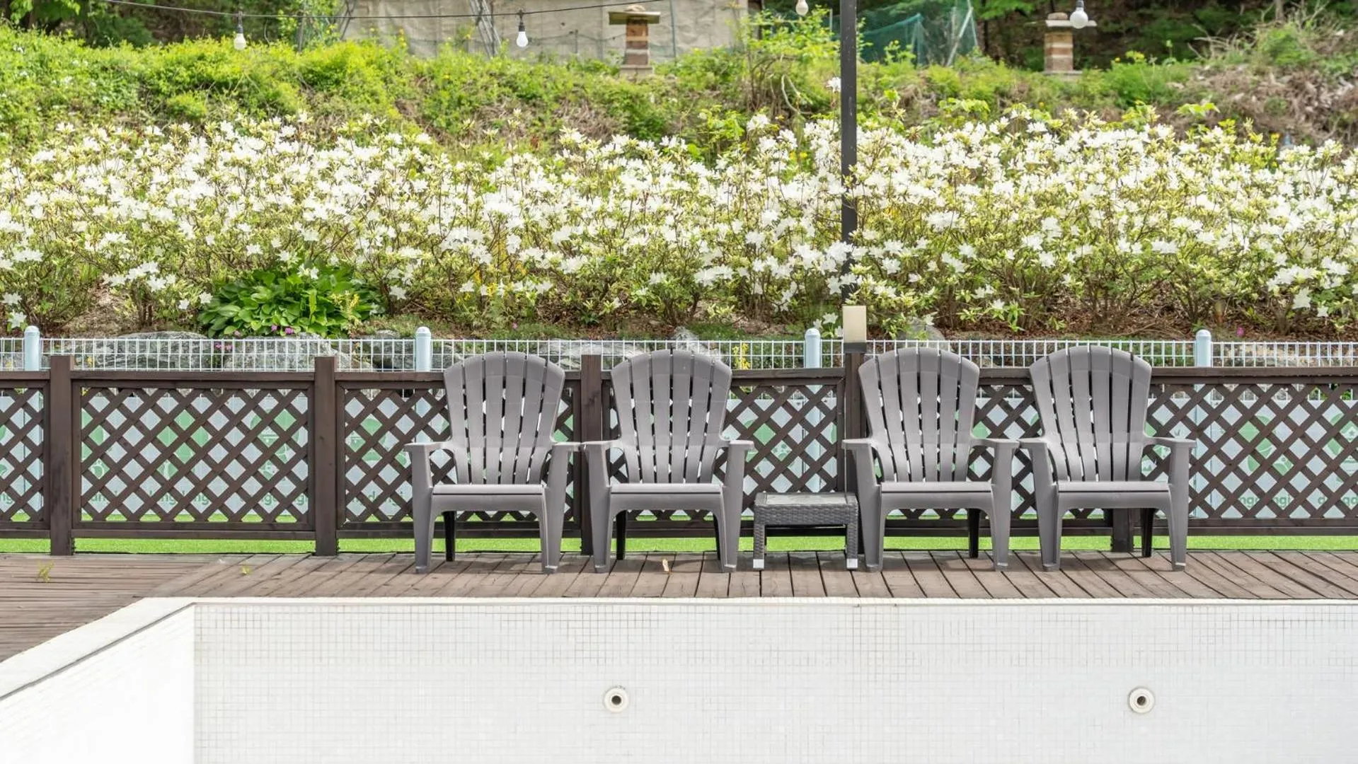 Property building in Gapyeong Dangdangi Pet Poolvilla Blue