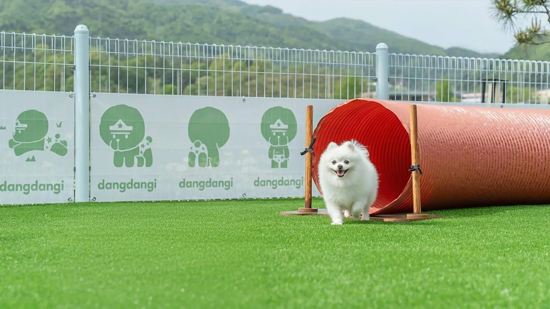 Property building in Gapyeong Dangdangi Pet Poolvilla Blue