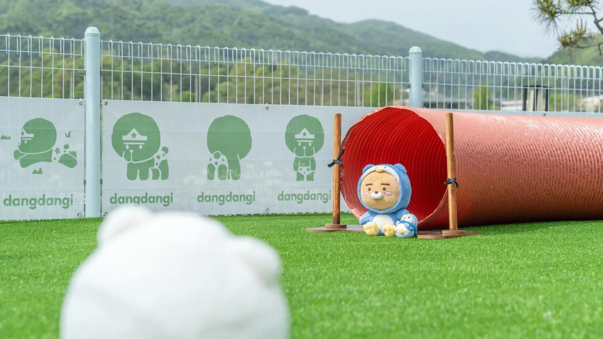 Property building in Gapyeong Dangdangi Pet Poolvilla Blue