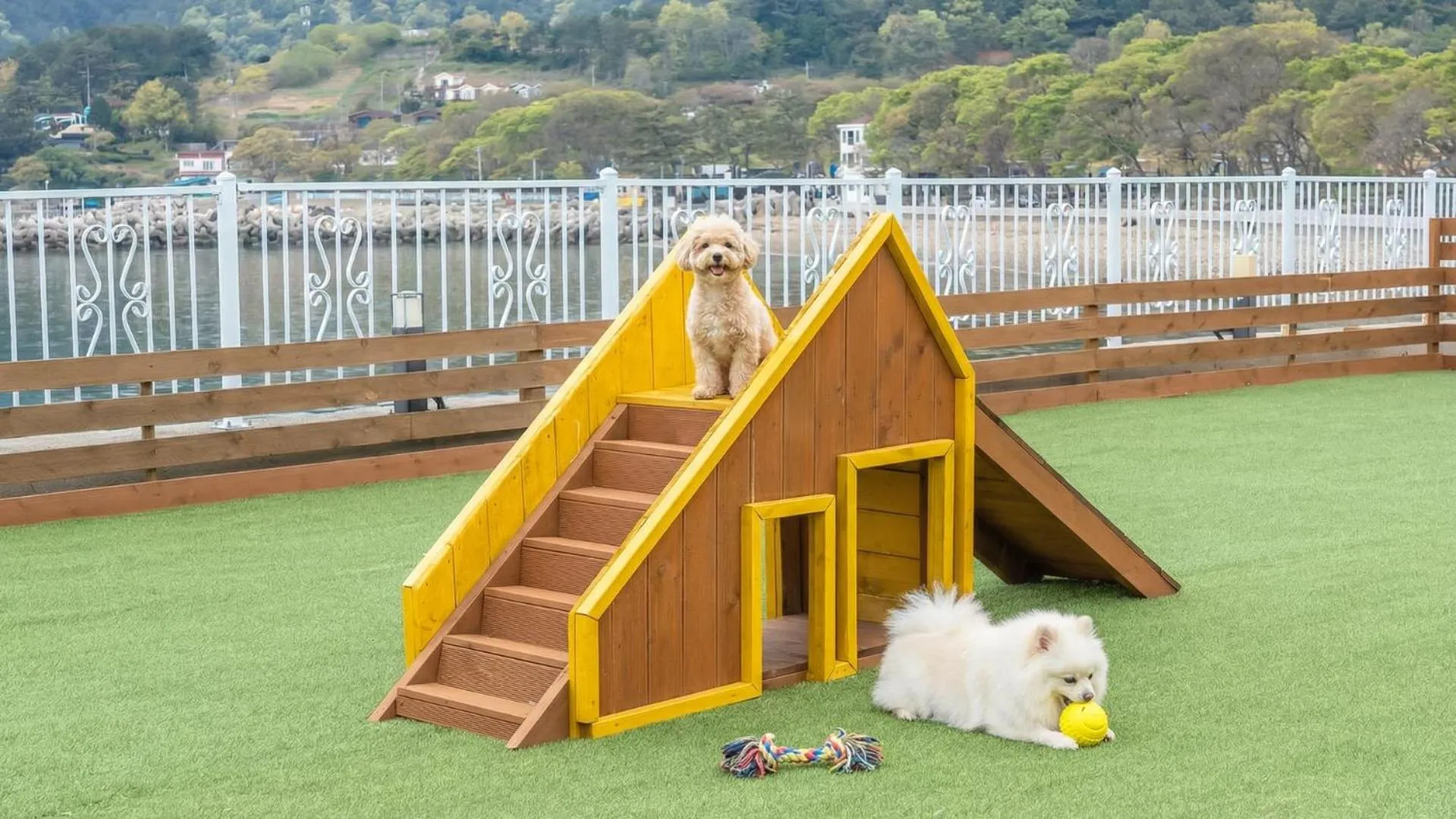 Property building in namhae sea stay N pet pension