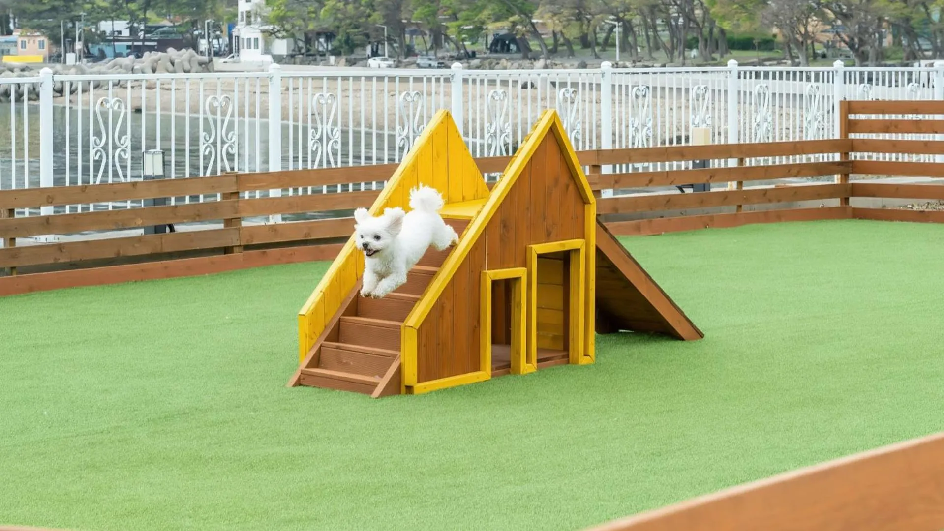 Property building in namhae sea stay N pet pension