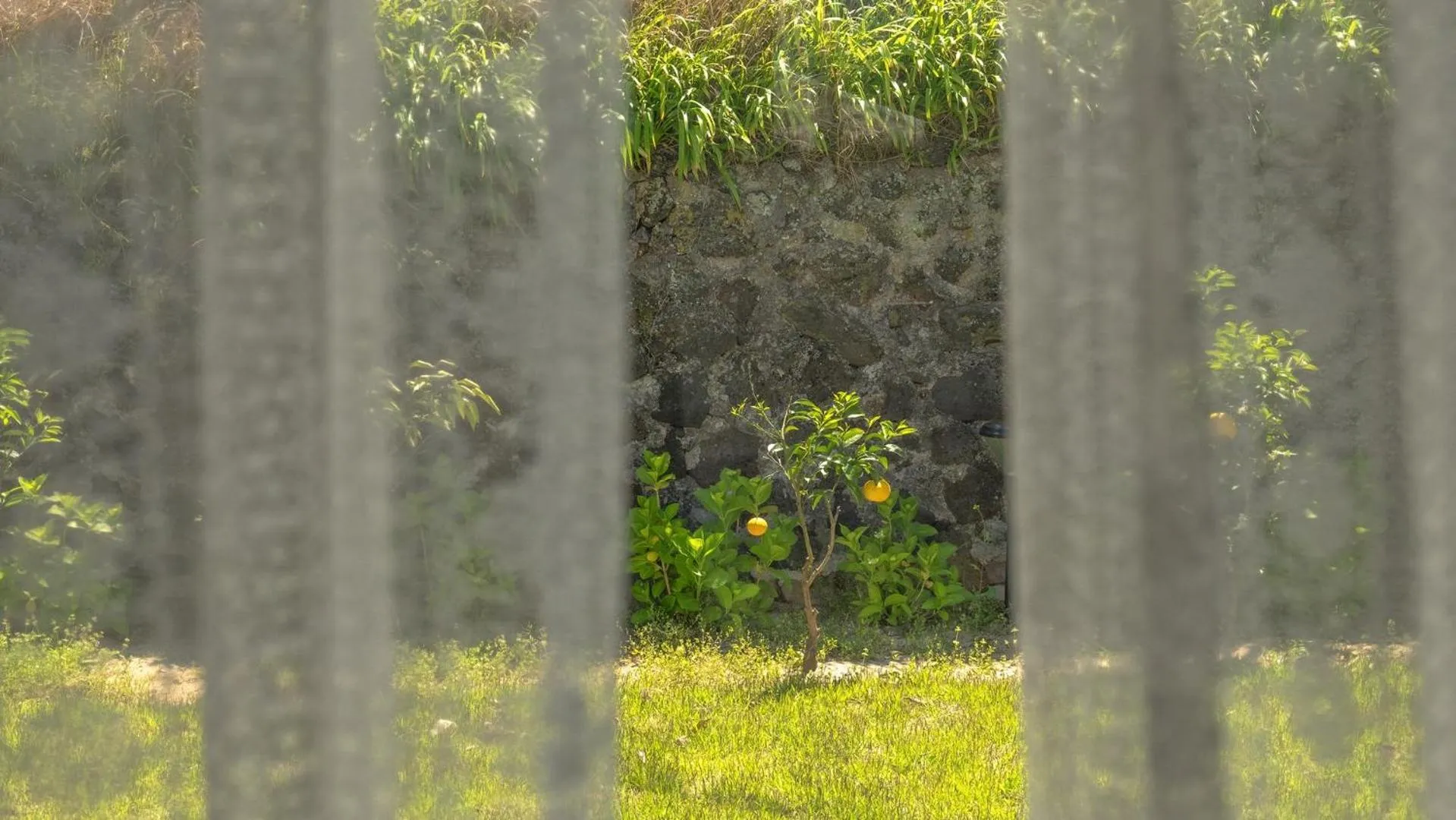 Property building in Jeju Pyeongdae 41street Pension