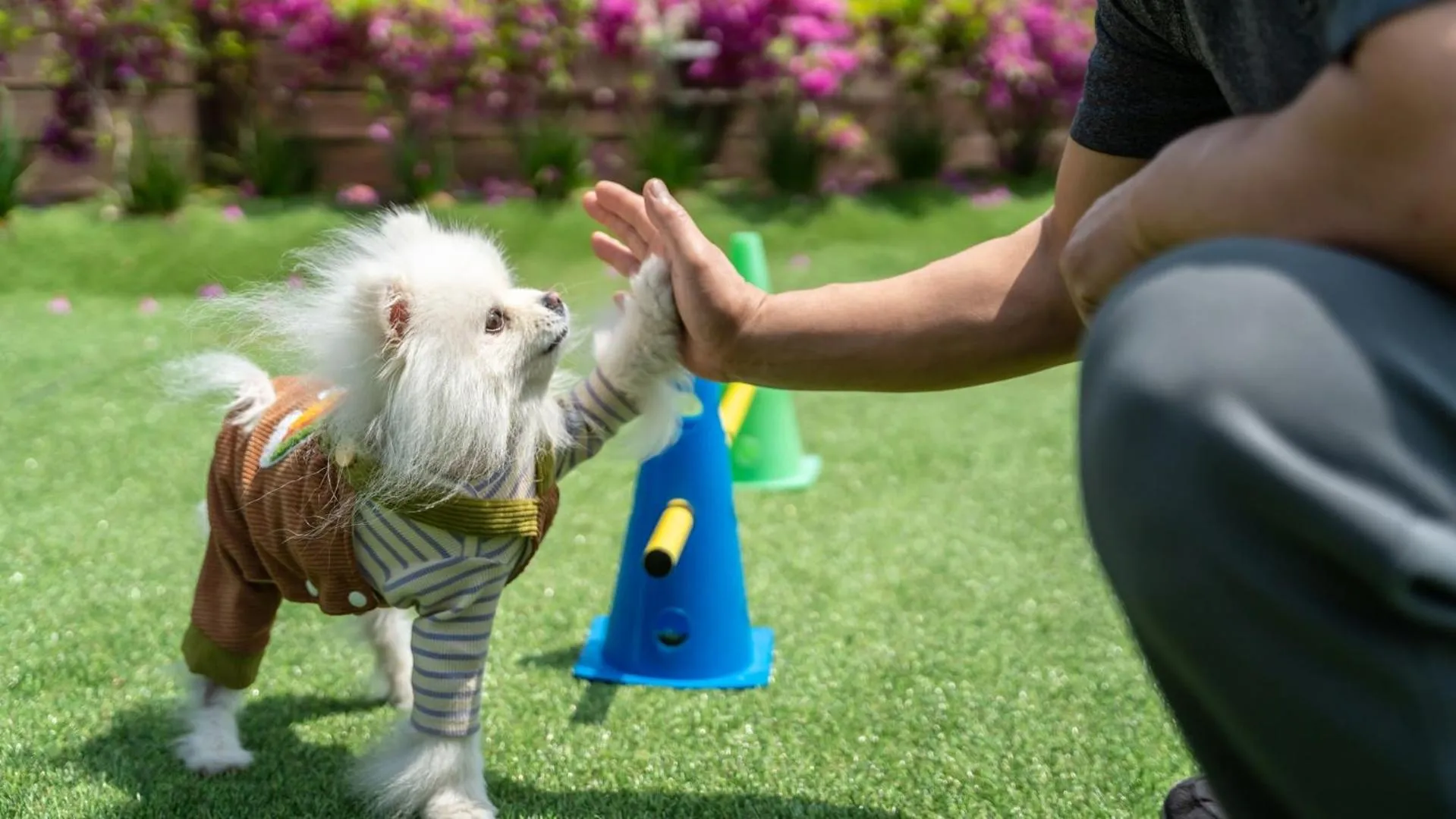 Property building in Namhae Dangdangi Dog Pension Blue