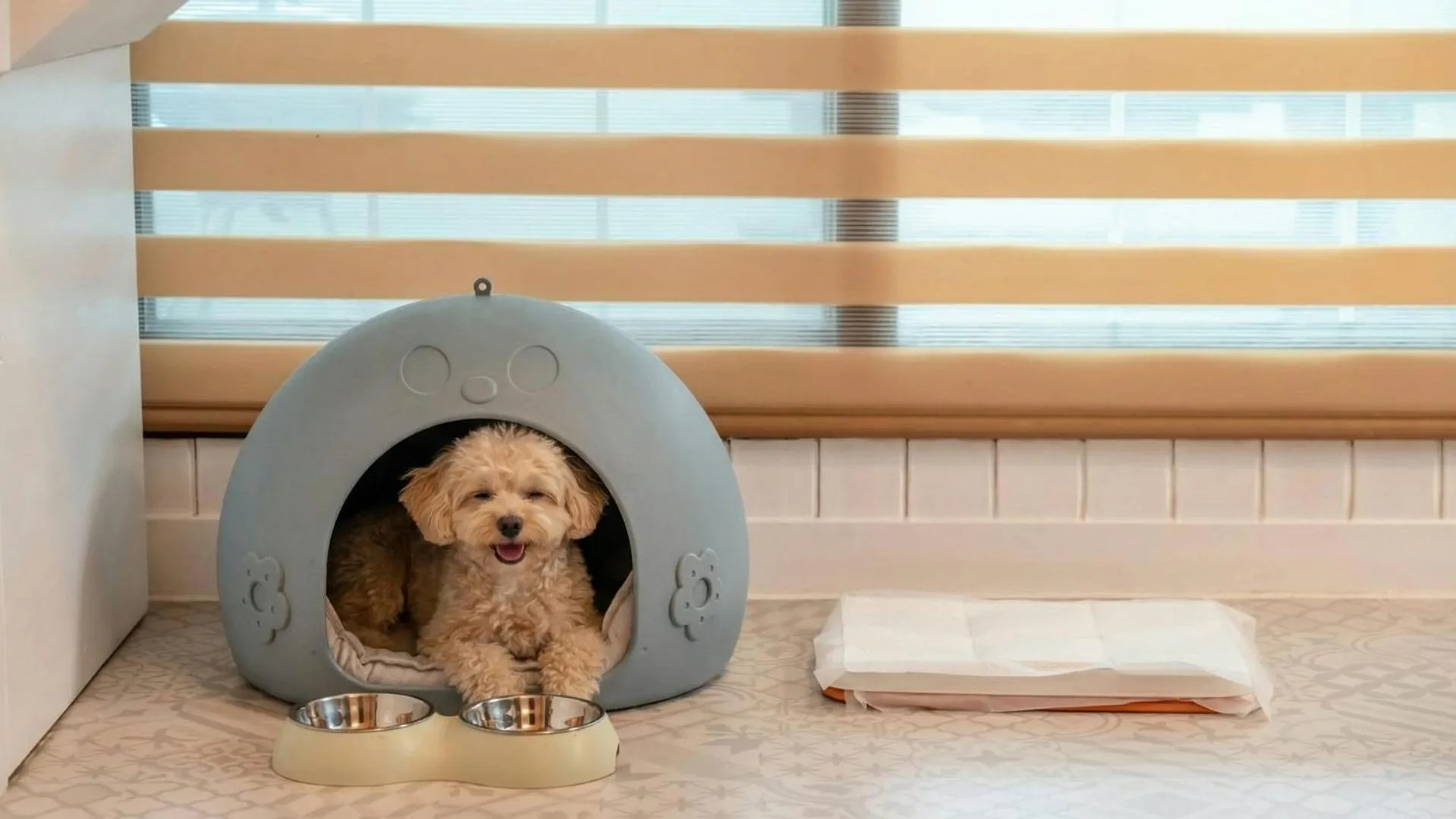 Property building in Gapyeong Dongban84 Glamping&Pool villa