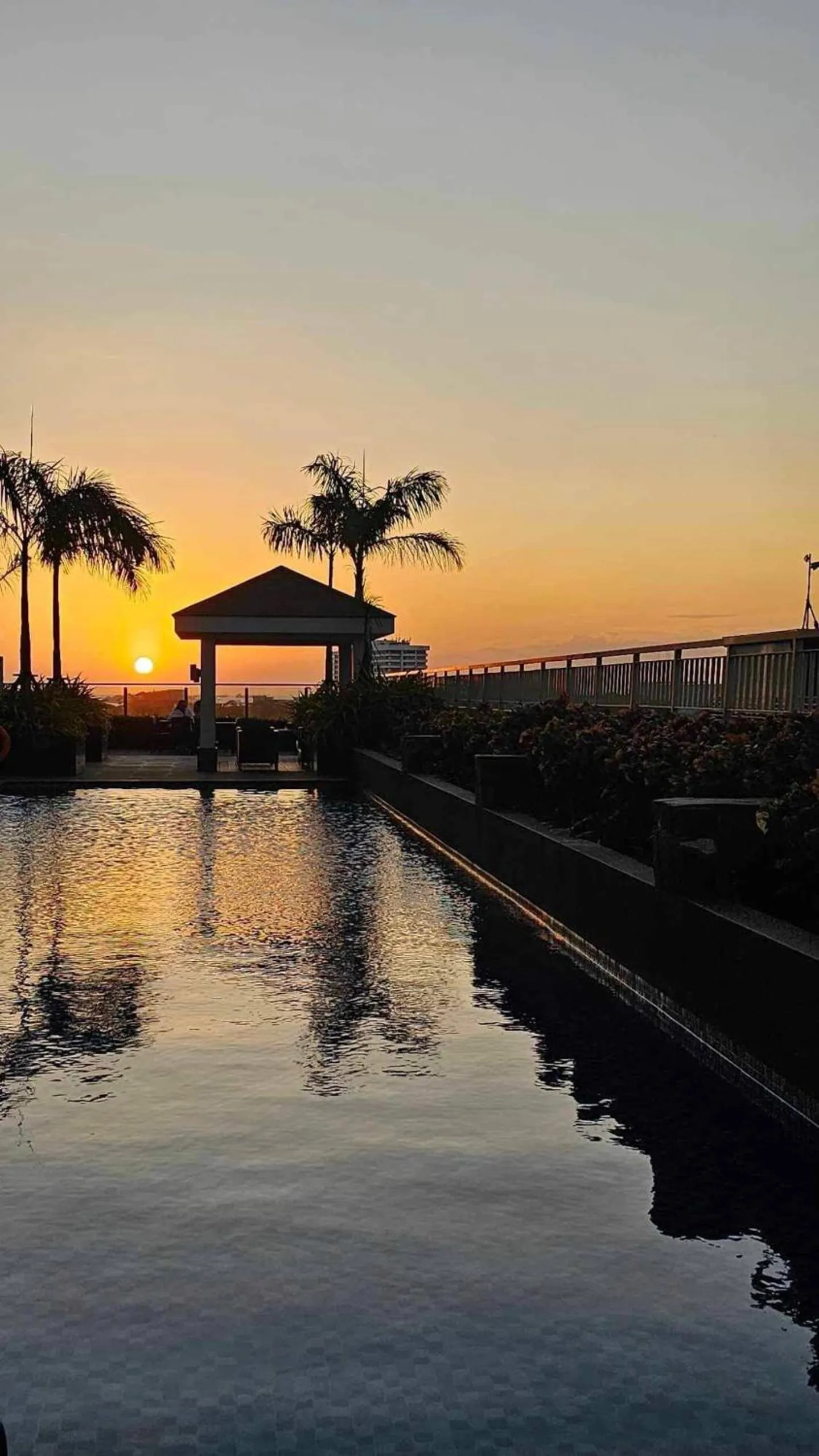 View (from property/room) in SMDC Coast Residences