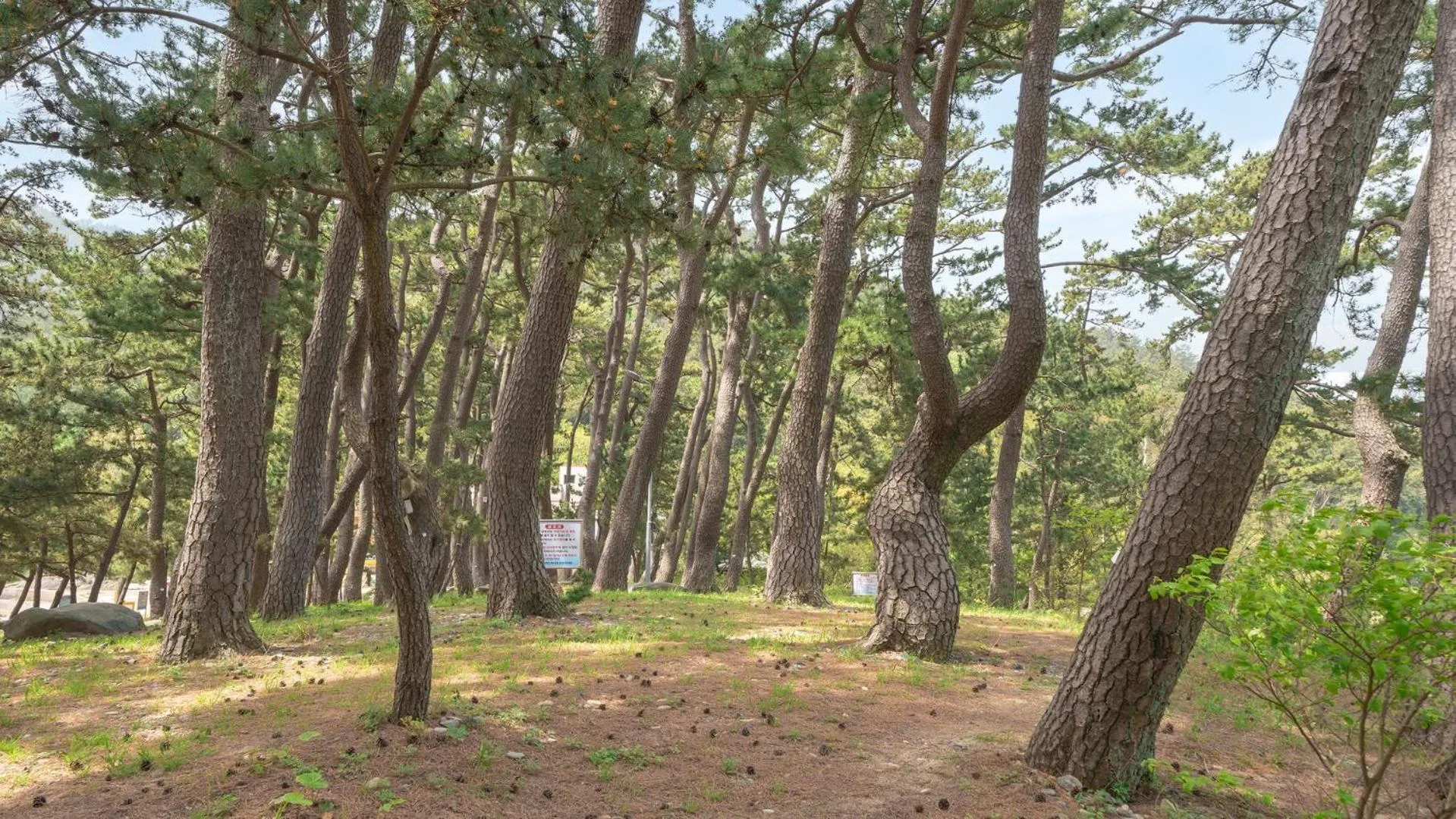 Property building in Yeosu Bebeolleh Pension