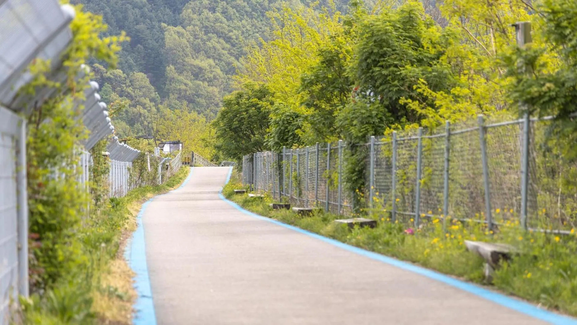 Property building in inje darani pet pension