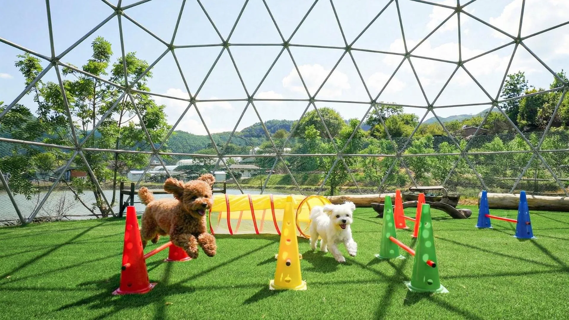 Property building in inje darani pet pension