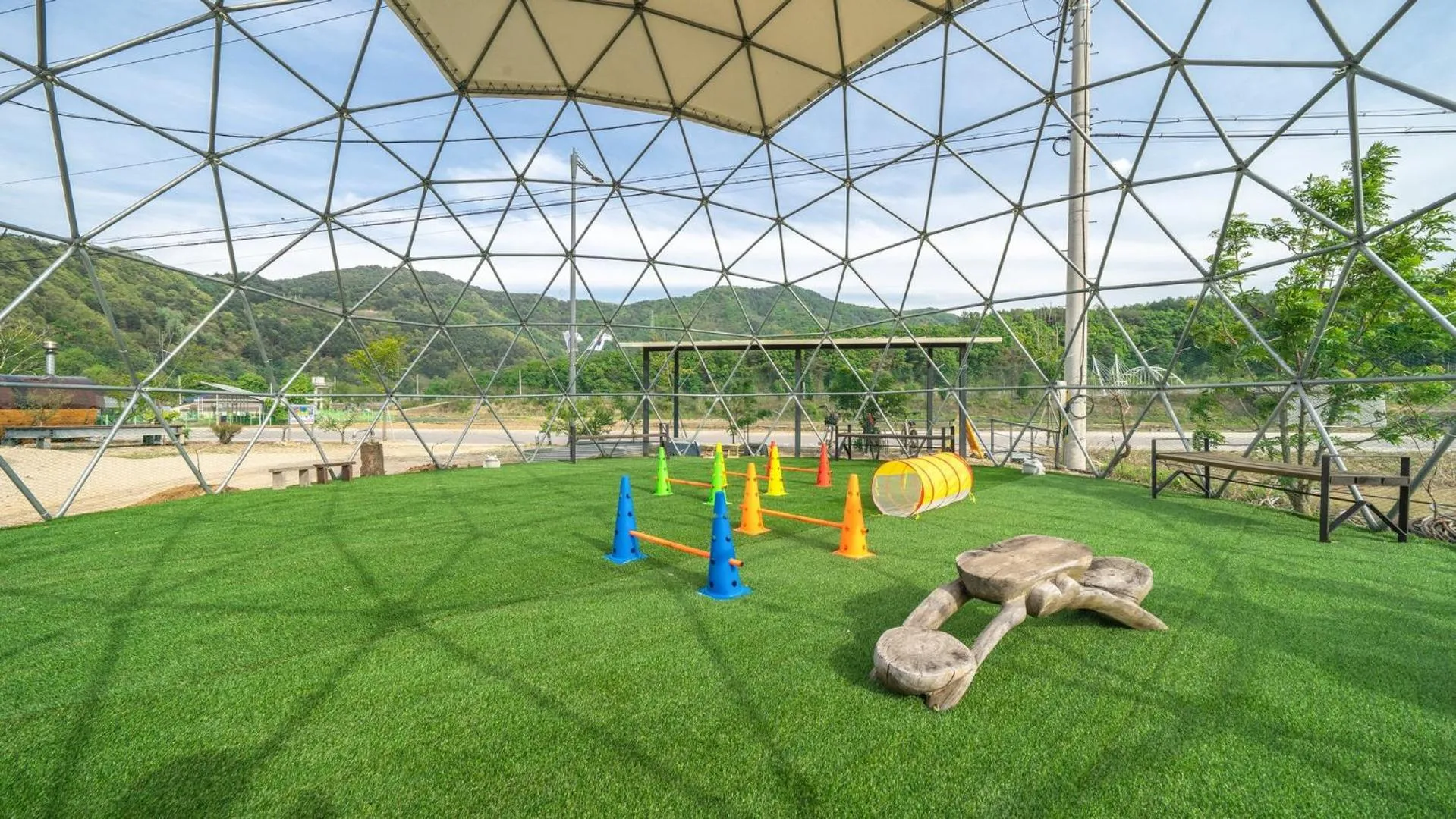 inje darani pet pension