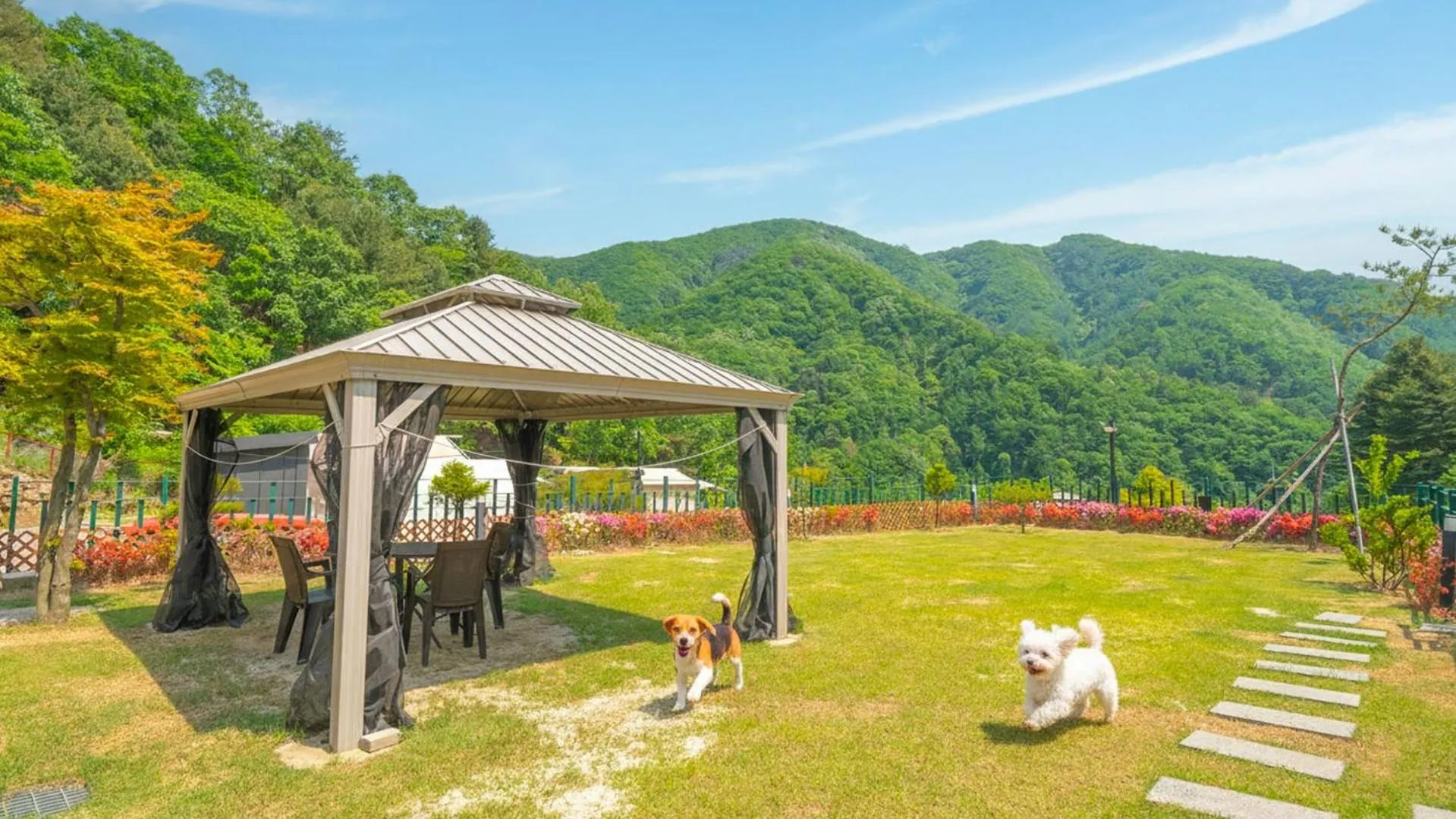Property building in Gapyeong camp with pet & aegyeonglamping
