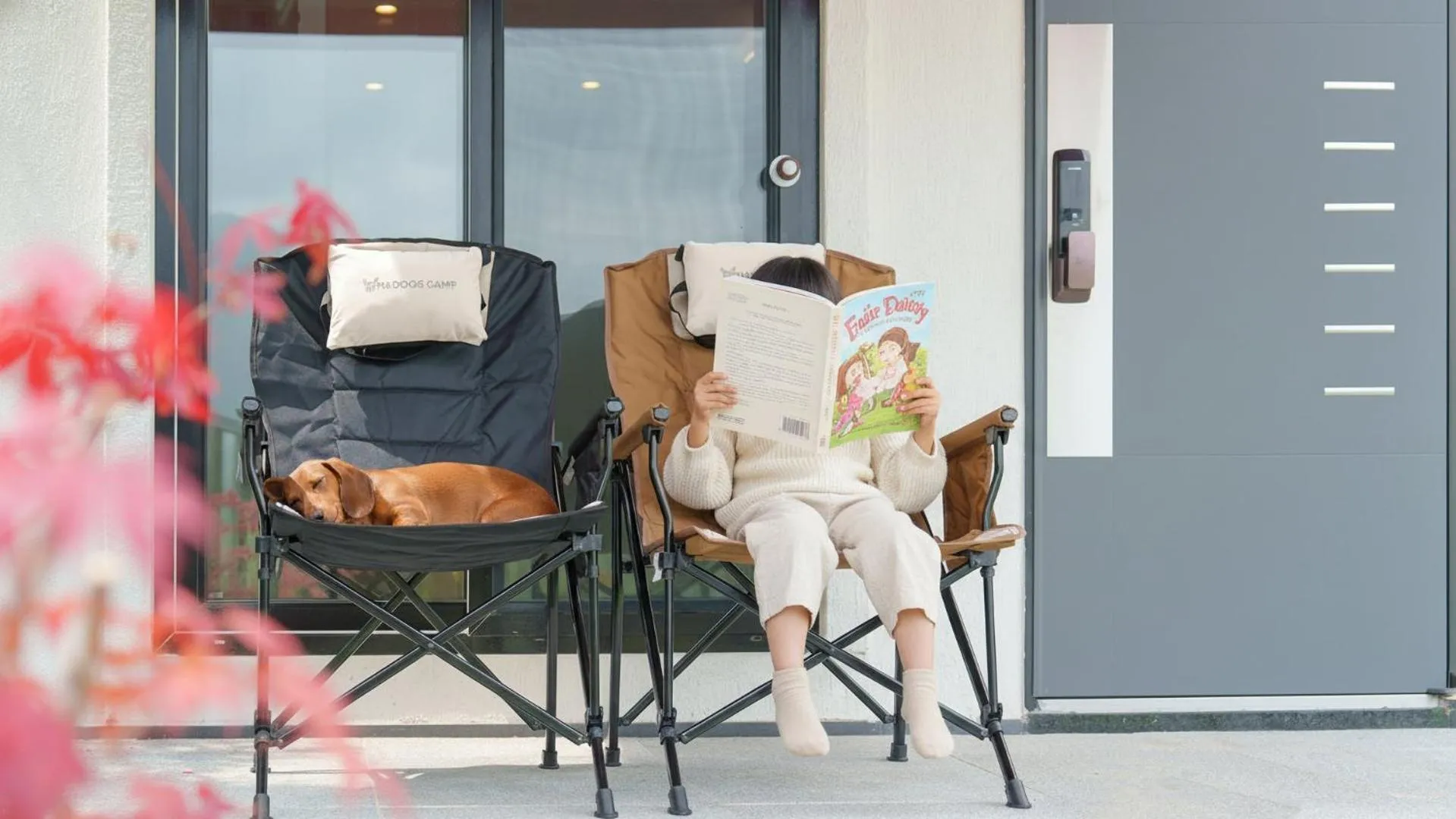 Property building in gyeongsan stage-ipple pet pension