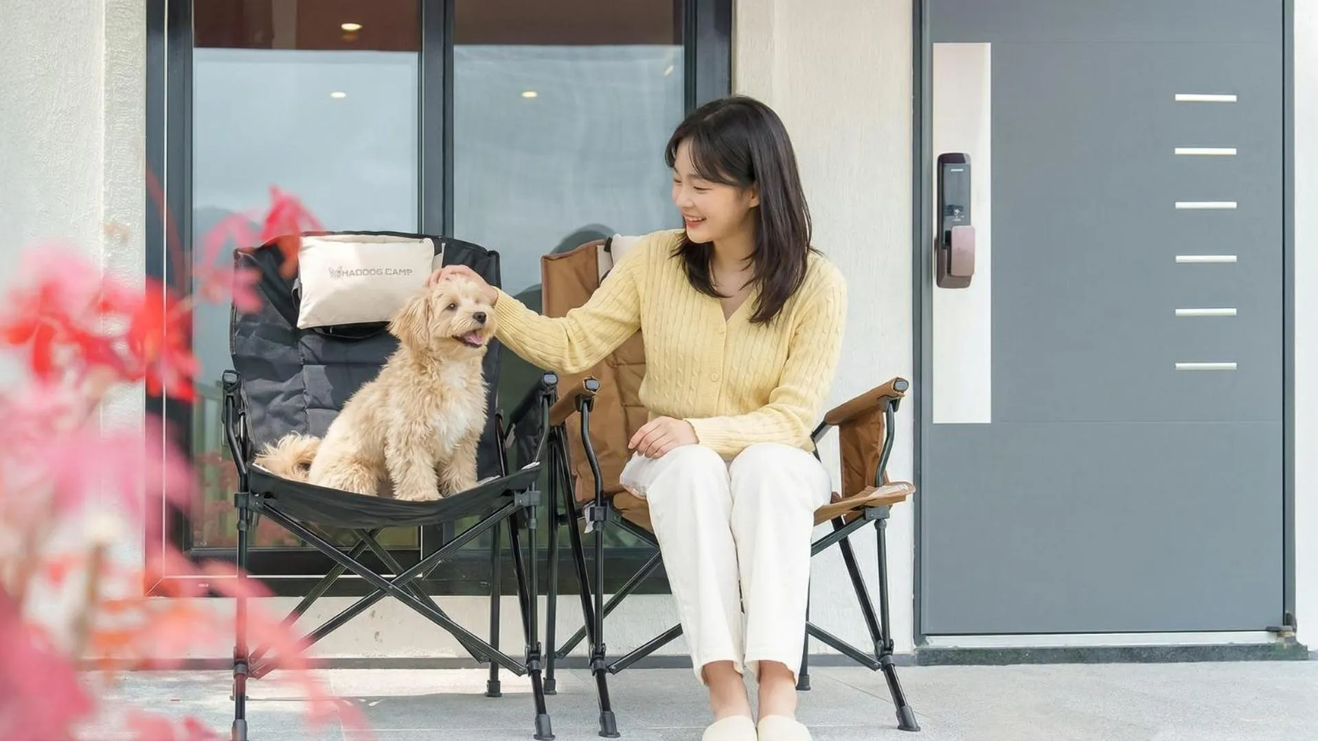 Property building in gyeongsan stage-ipple pet pension