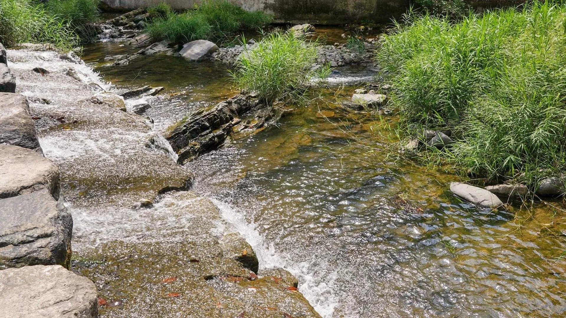 Property building in yangpyeong beulleosseom pet spa pension