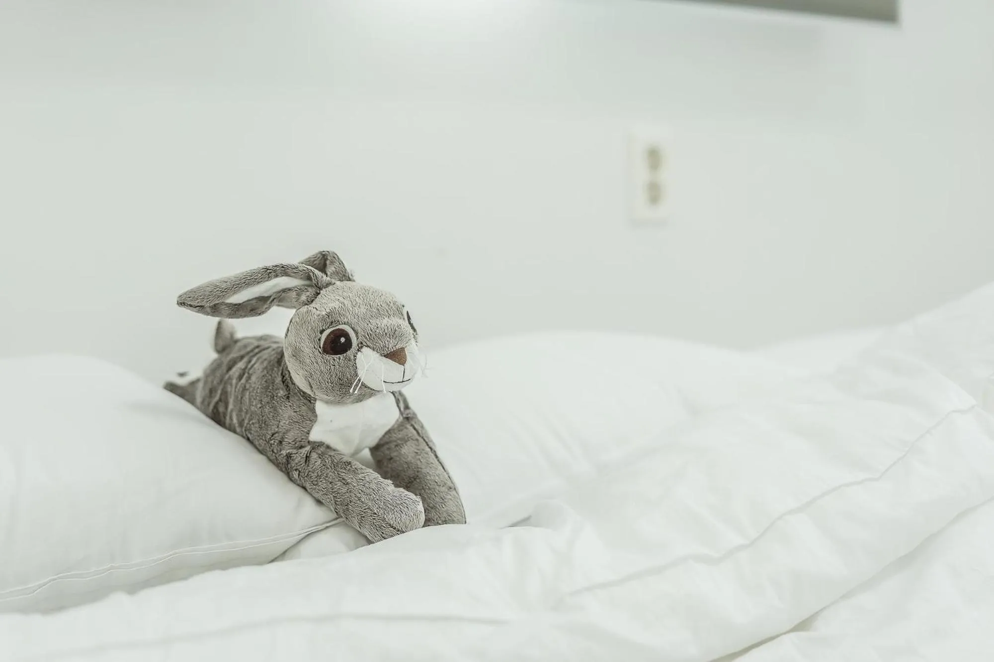 Property building, Bed in Jeju Sky Kids Pension