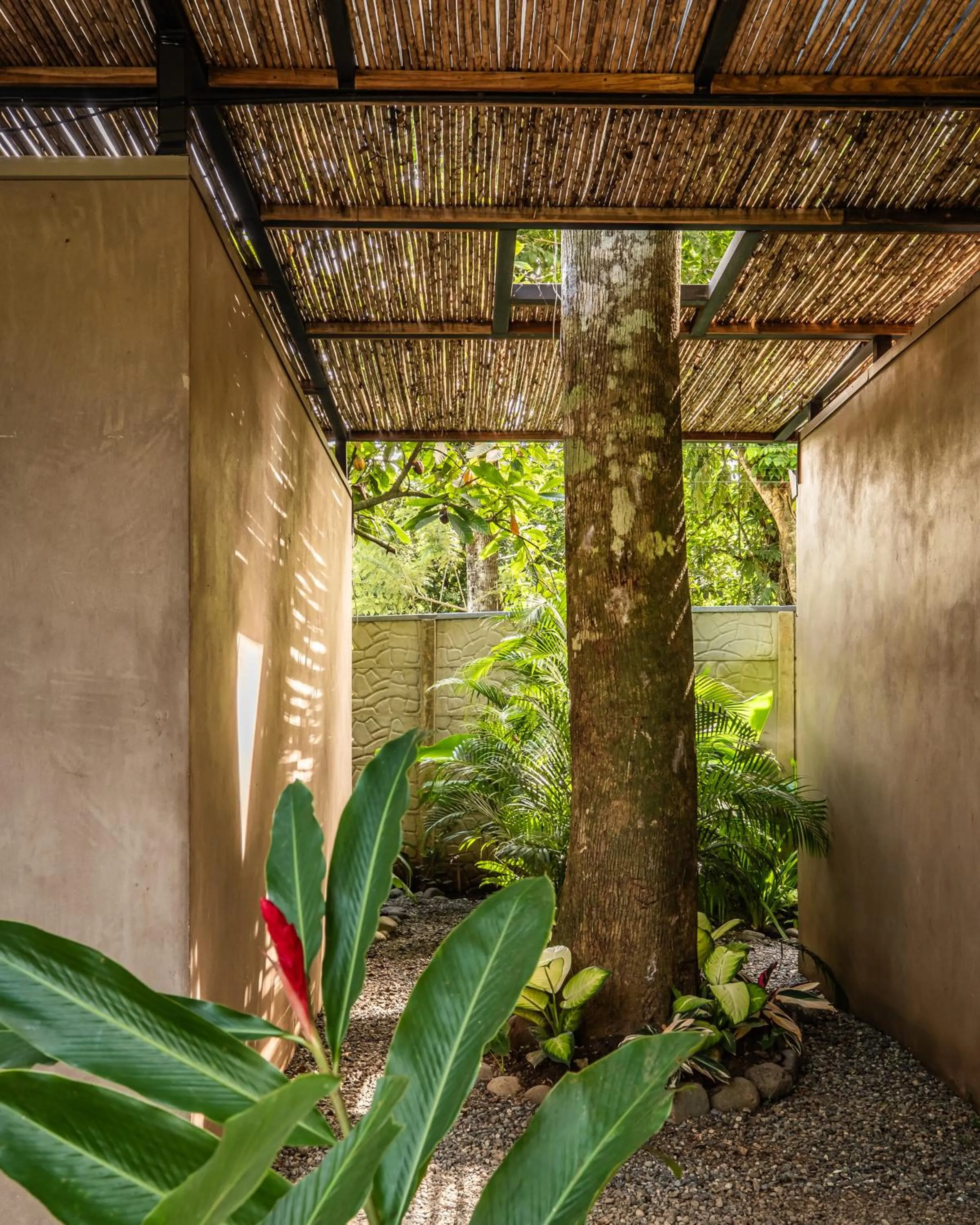 Garden in La Bonita Lodge