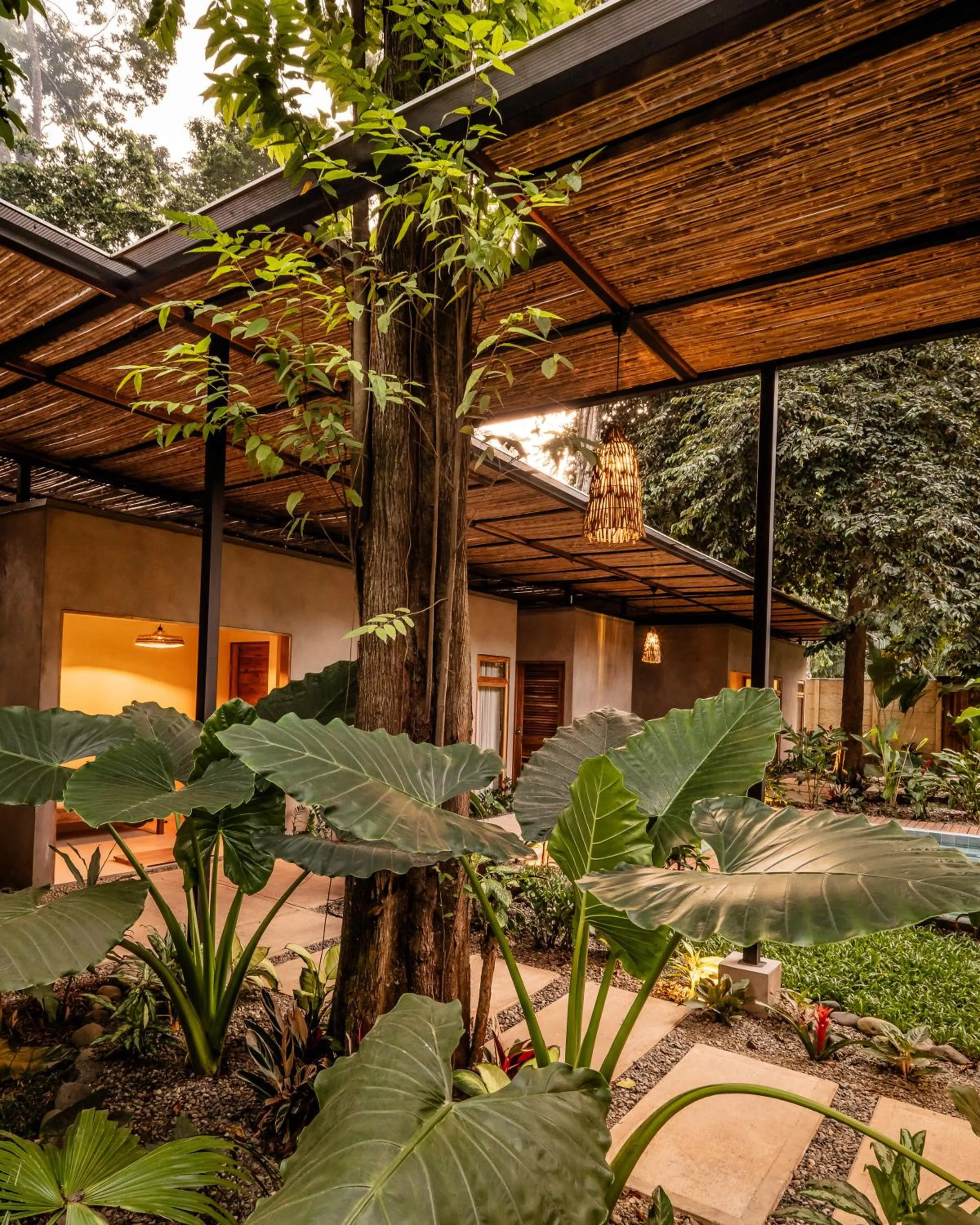 Garden in La Bonita Lodge